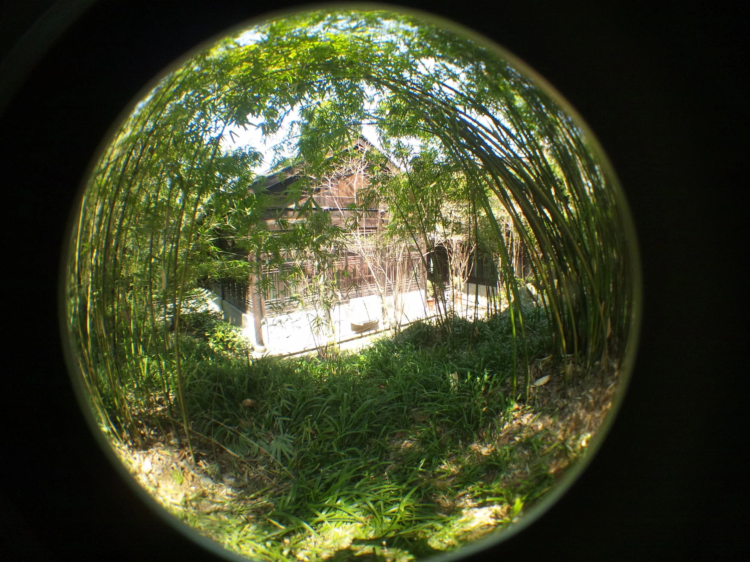 花港公園の風景