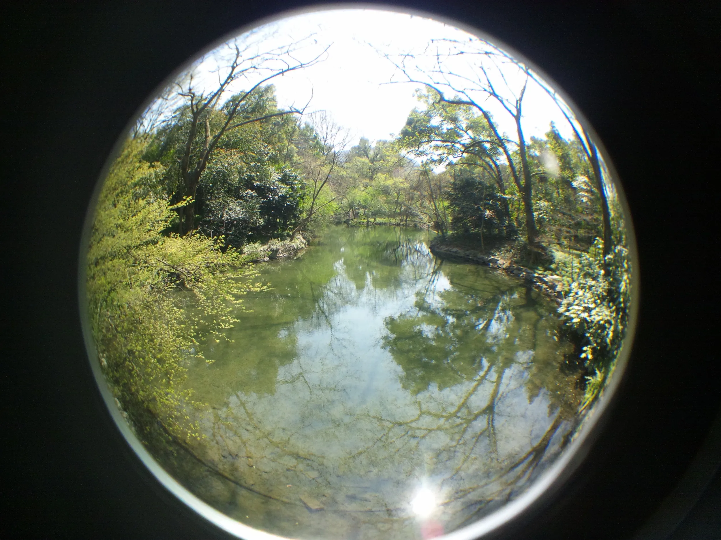 西湖周辺の風景