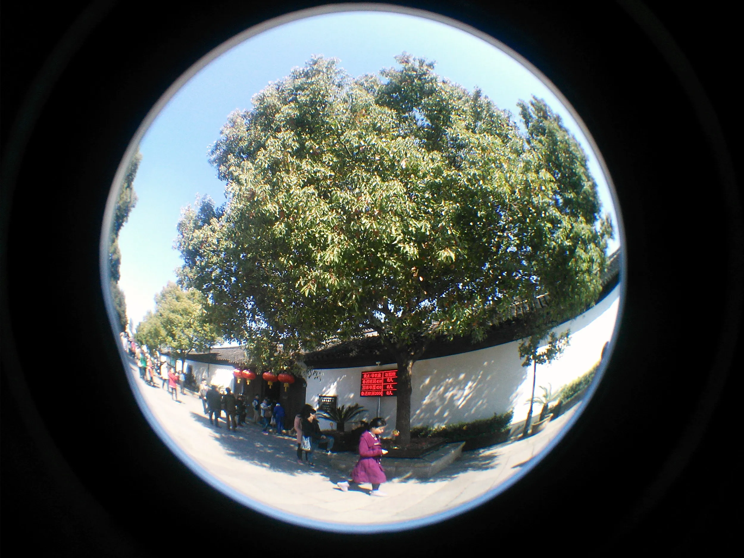 魯迅の故郷(故里)・沈園景観区