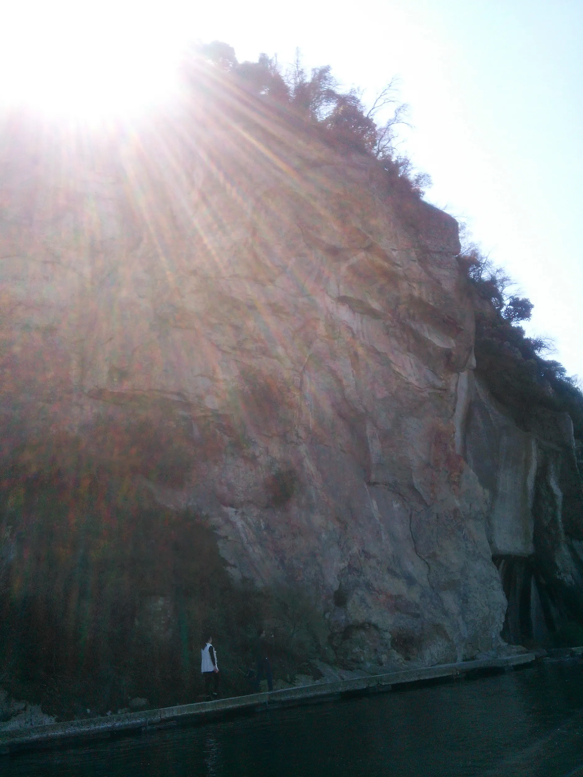 ボートからの東湖風景