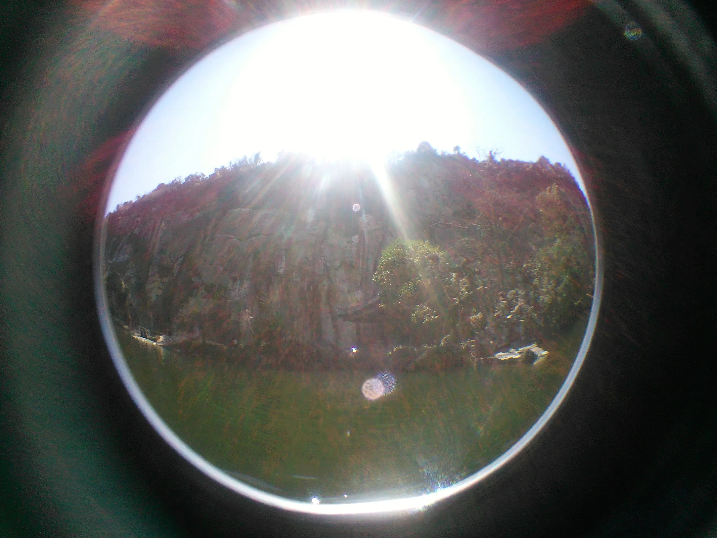 ボートからの東湖風景