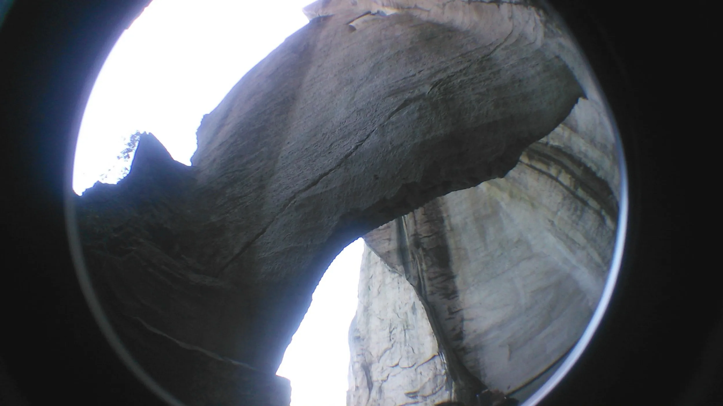 ボートからの東湖風景