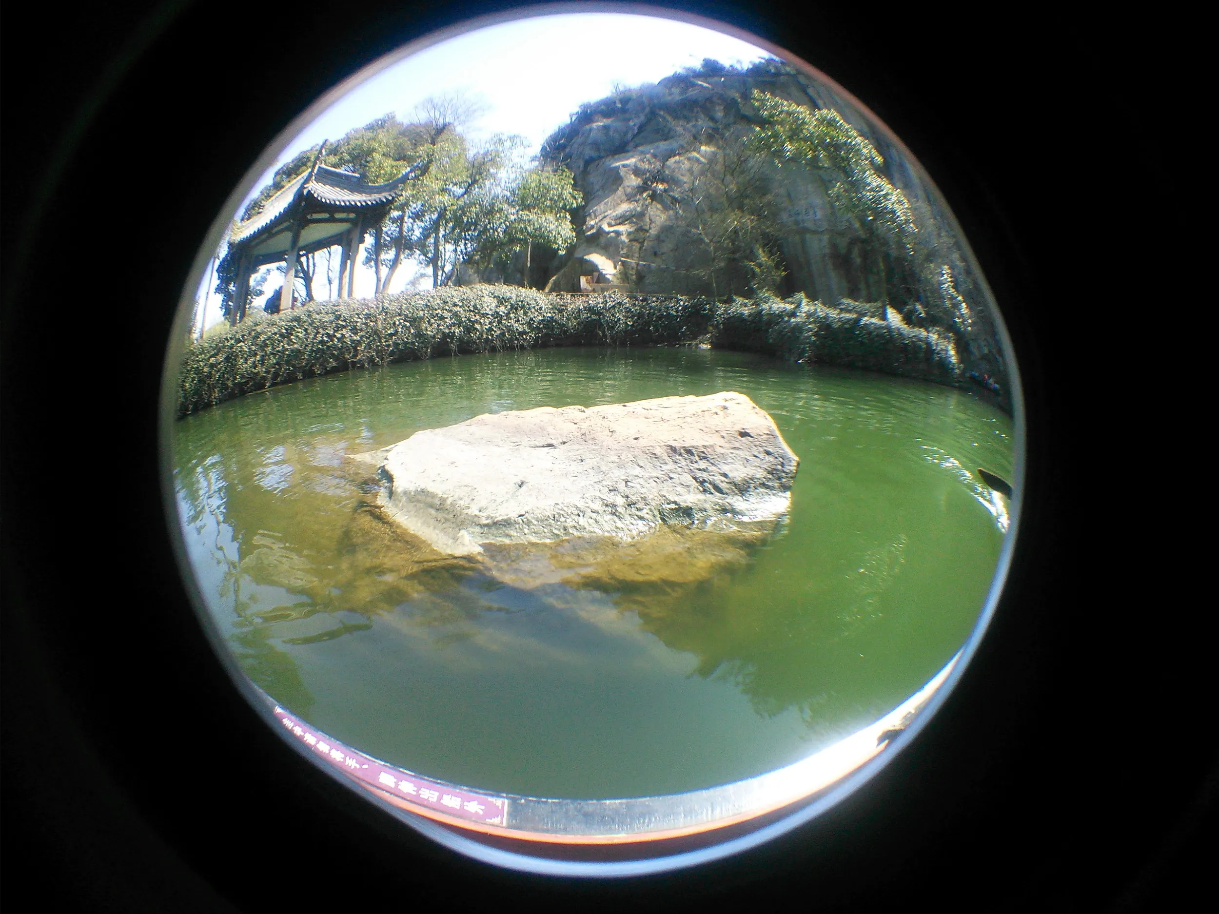 ボートからの東湖風景
