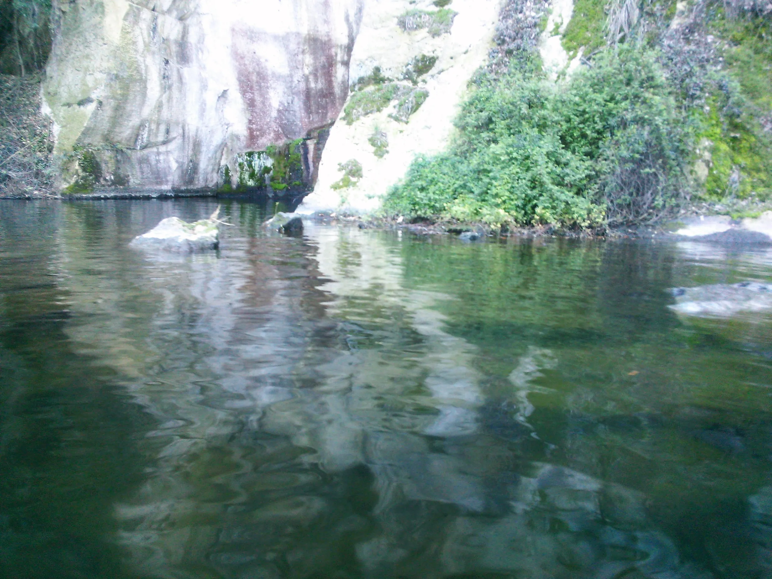 ボートからの東湖の湖面