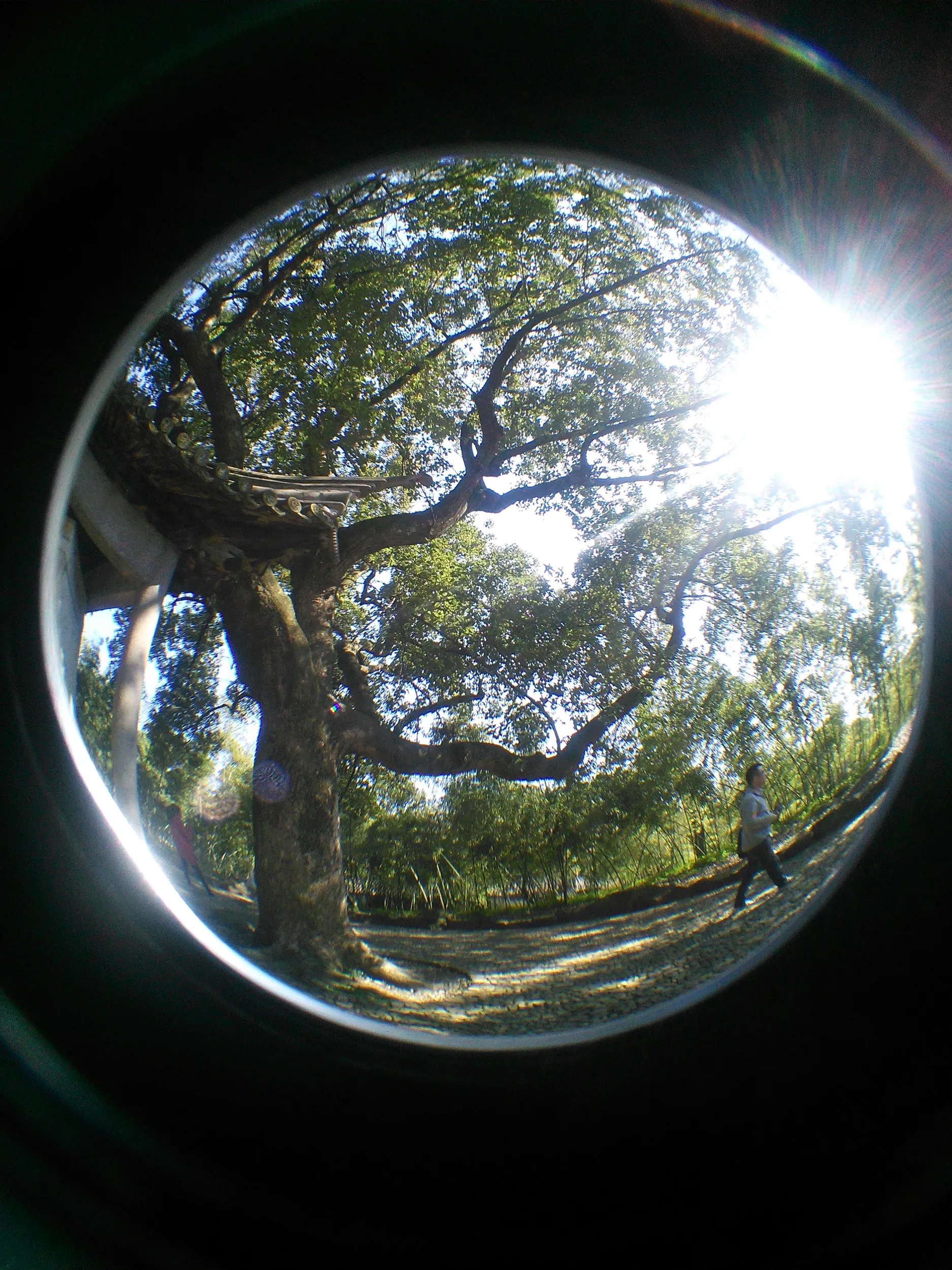 書道家の聖地、蘭亭を観光