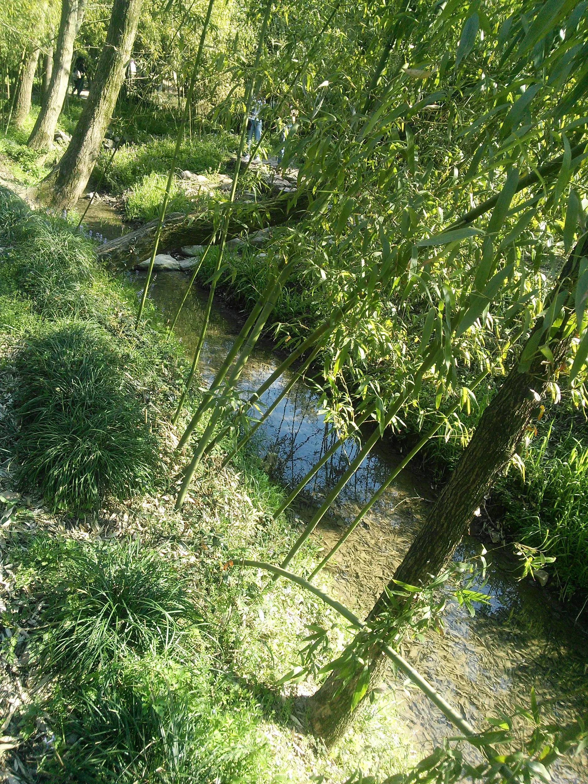 書道家の聖地、蘭亭を観光