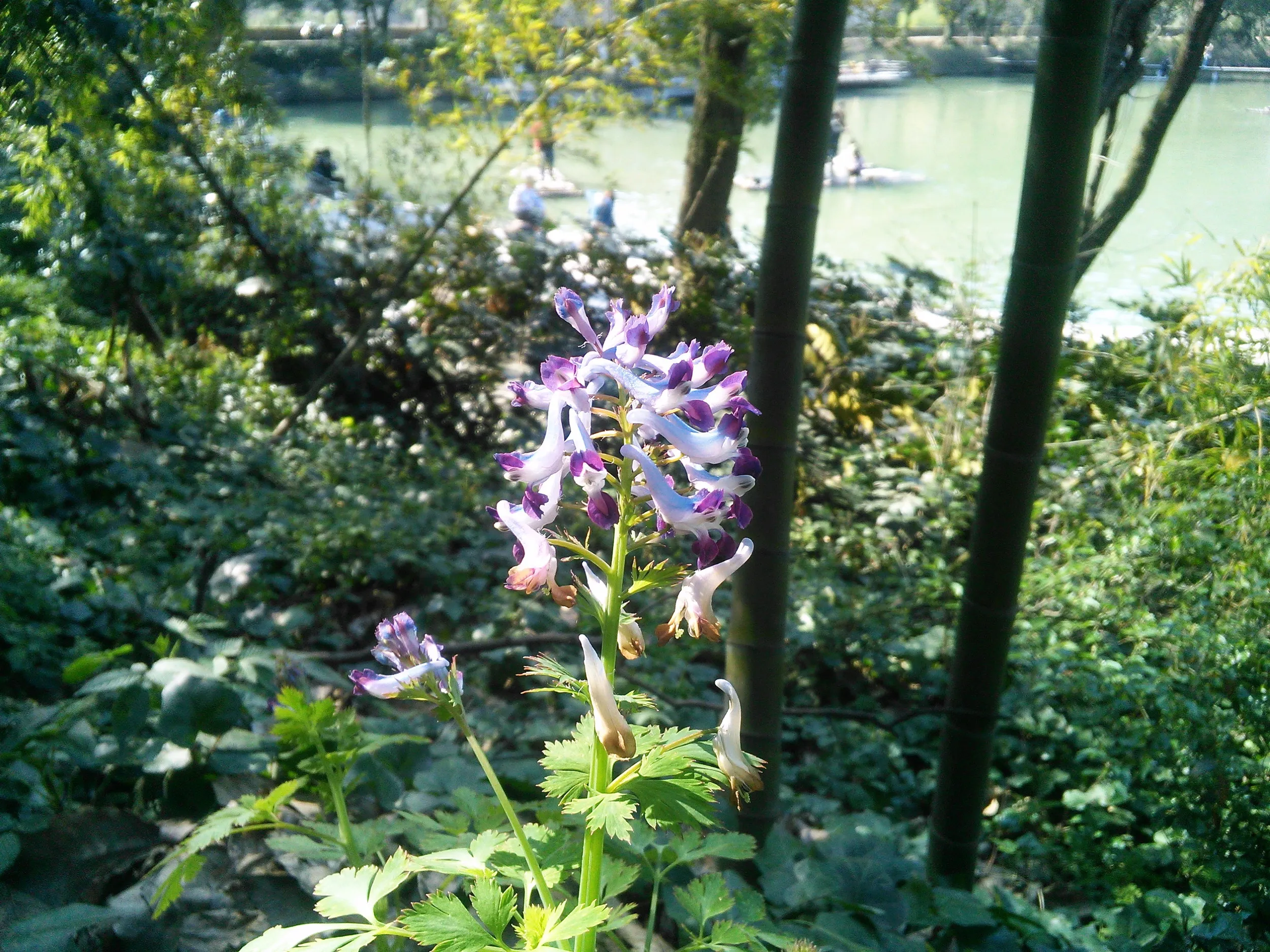 書道家の聖地、蘭亭を観光