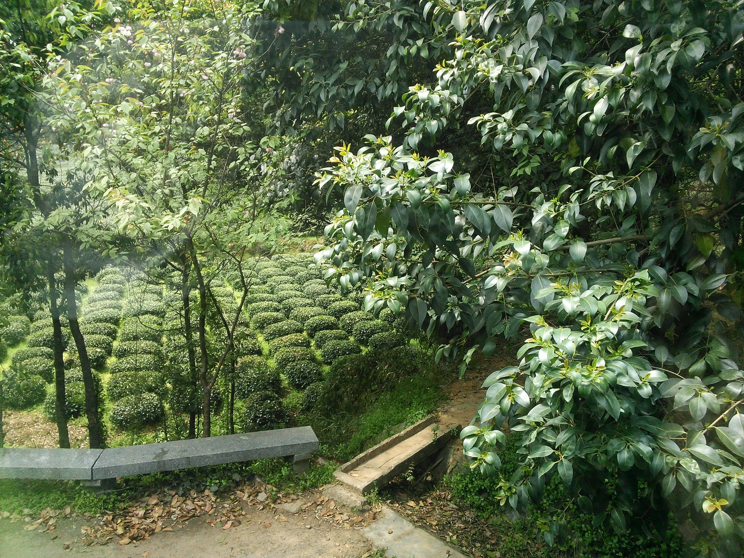上海・杭州間の車窓風景