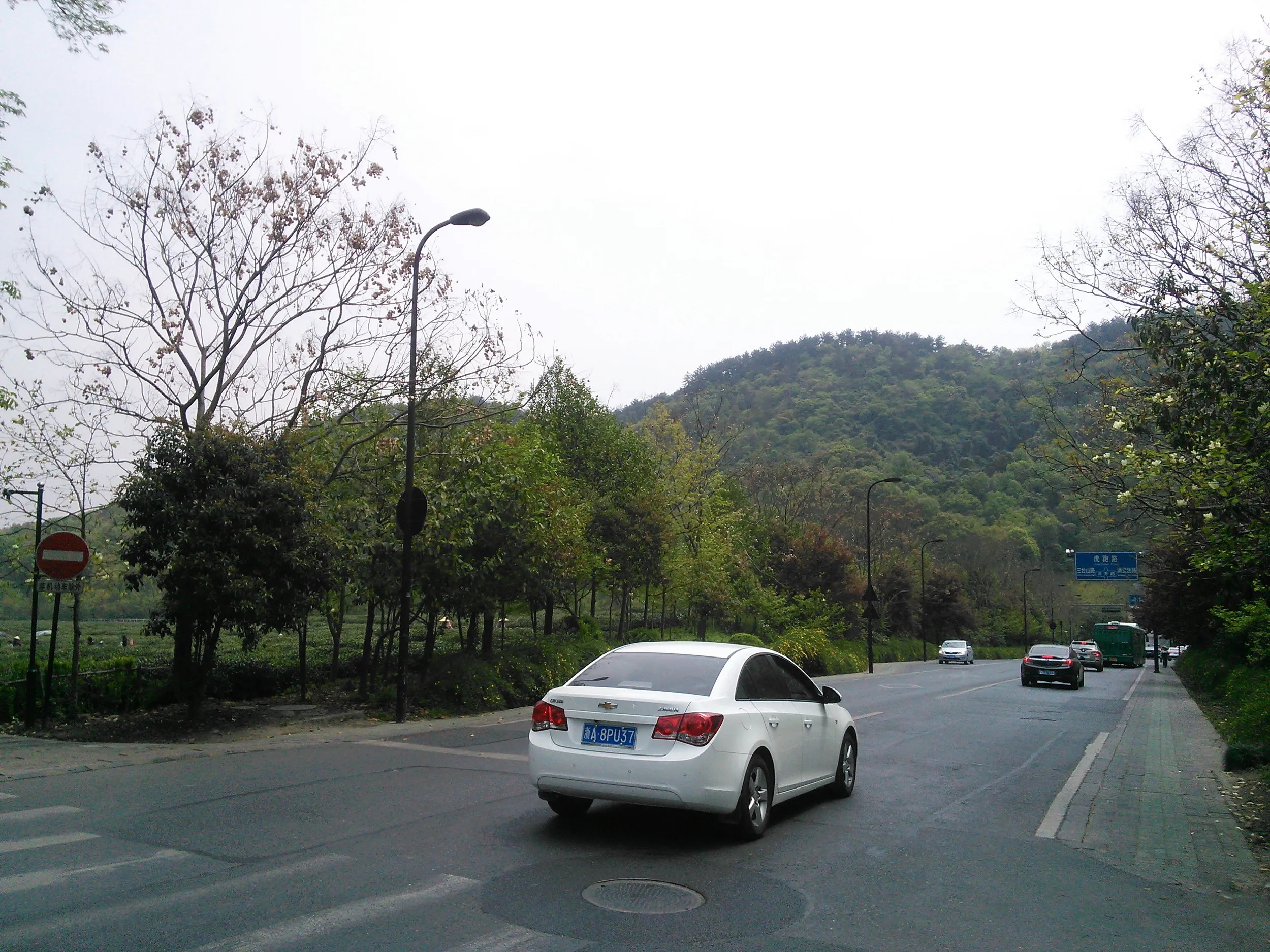 西湖龍井茶の産地へ到着