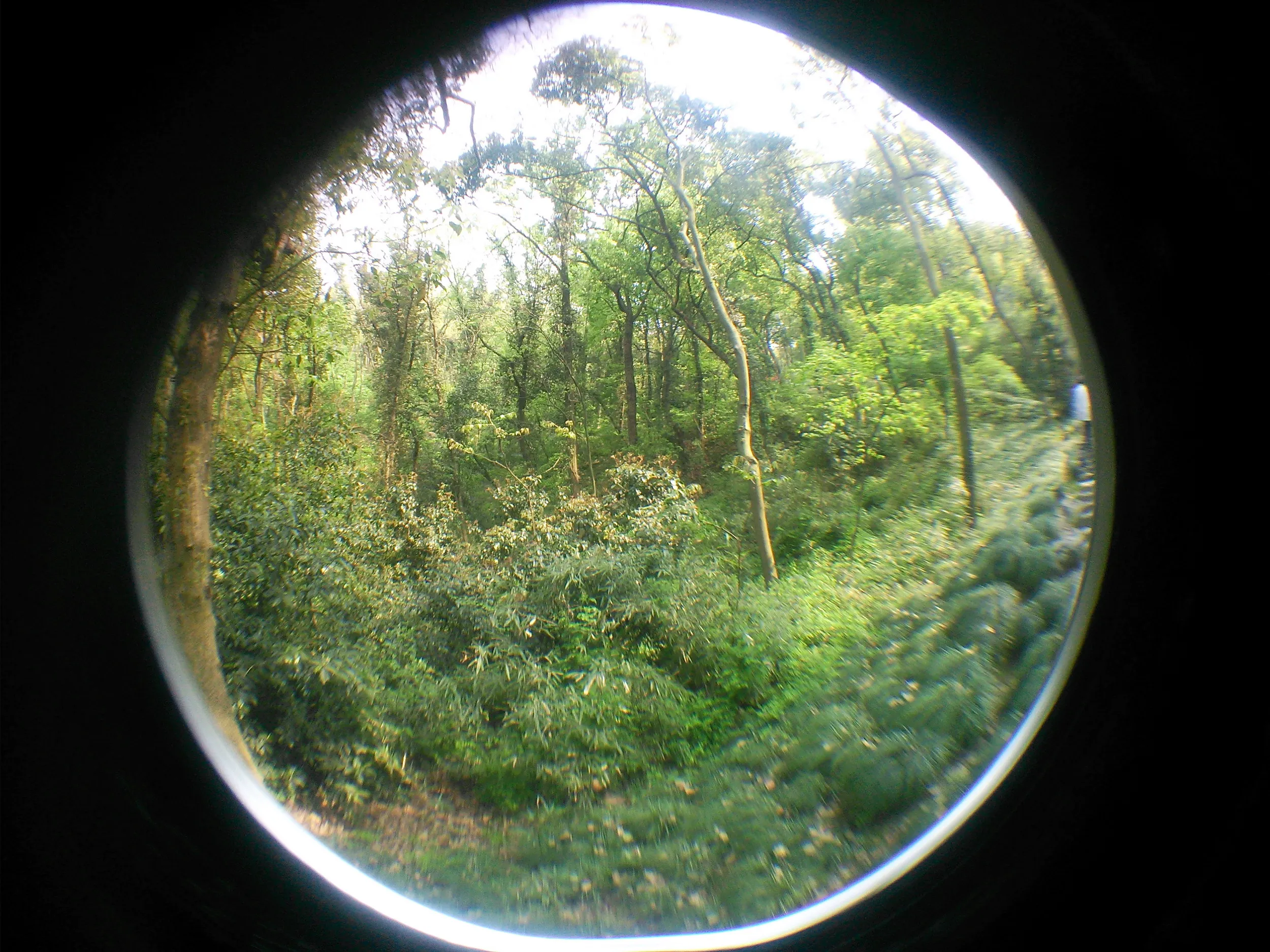 玉皇山へ登り、観光する