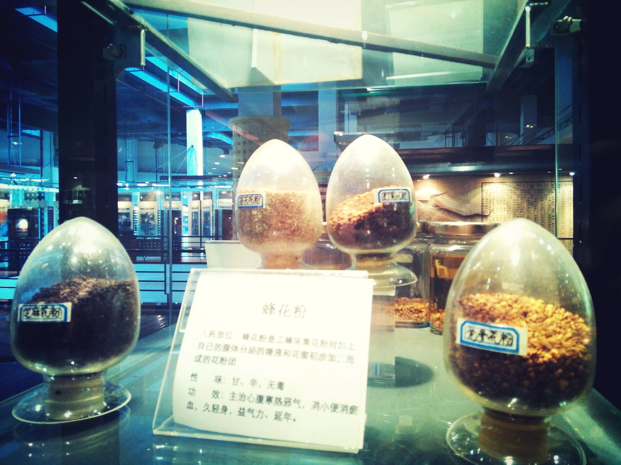 上海中医葯(中医・漢方薬)博物館