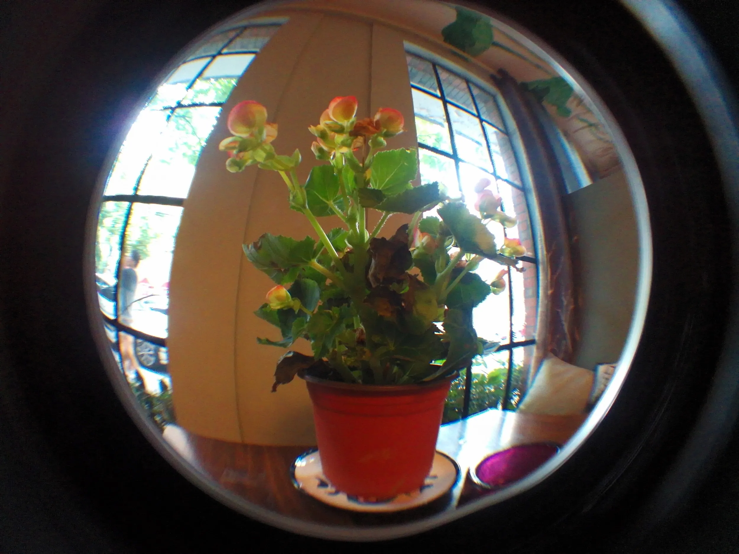 那宅国際青年旅舎