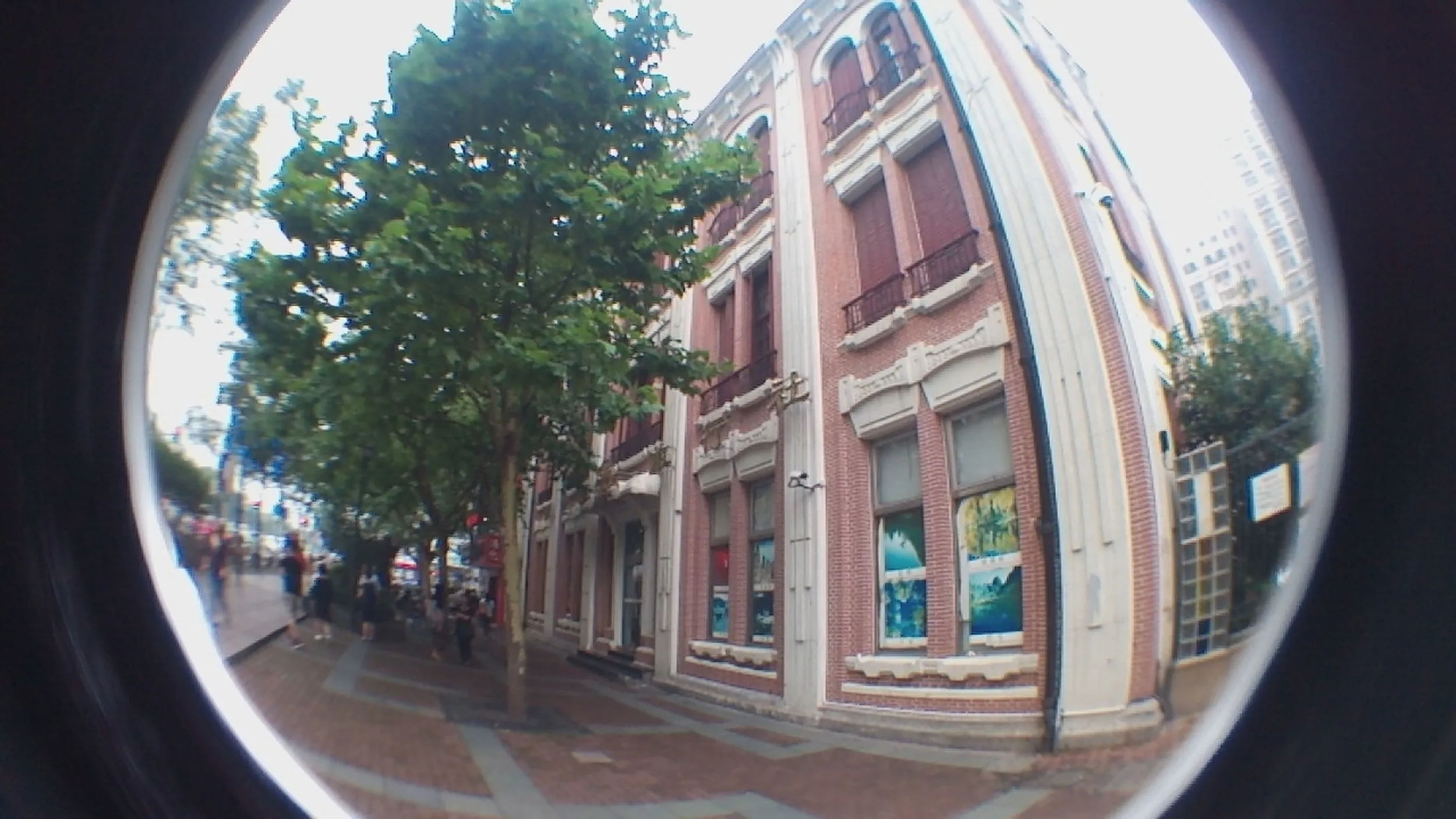 ニコ生代わりに撮影