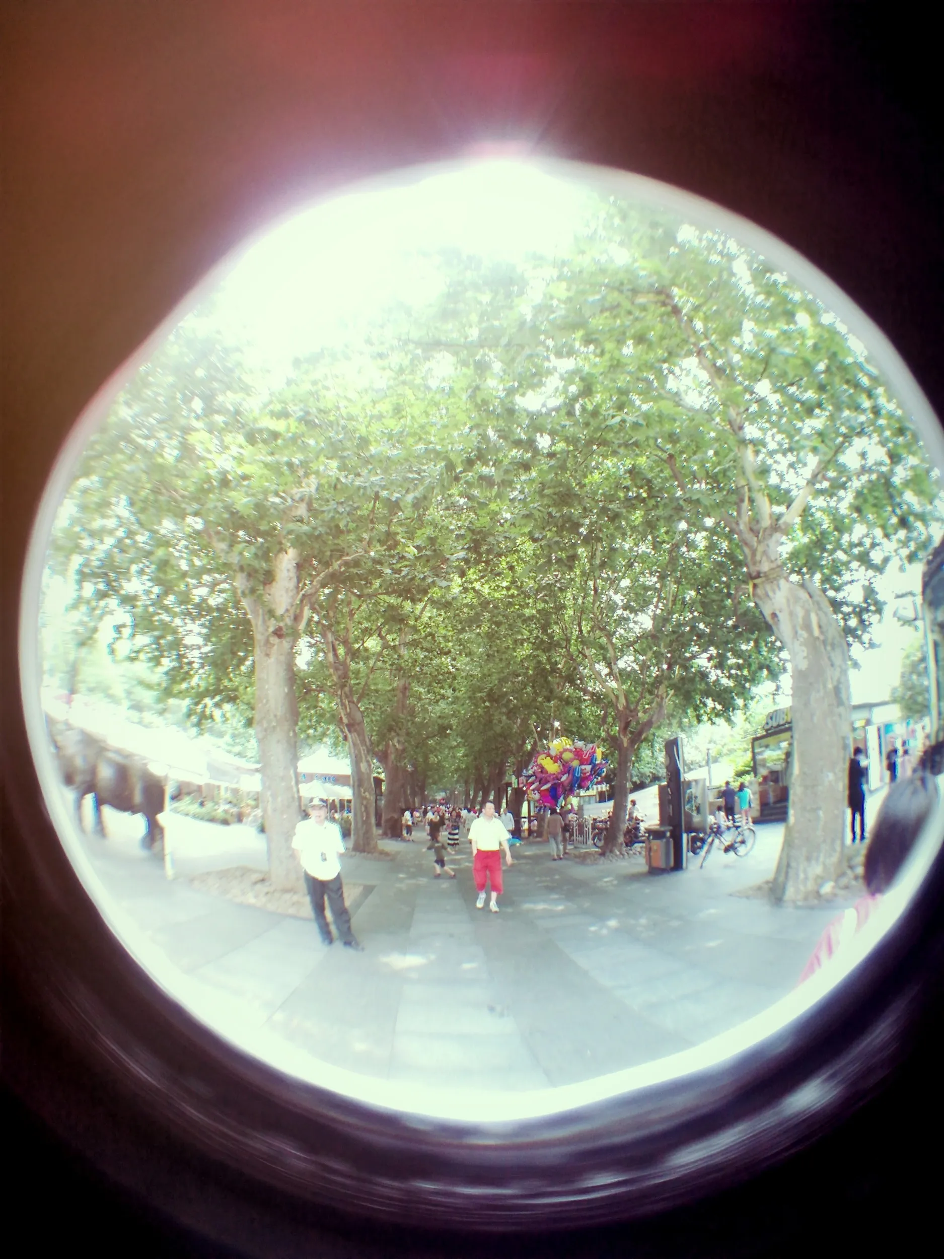 ニコ生代わりに撮影