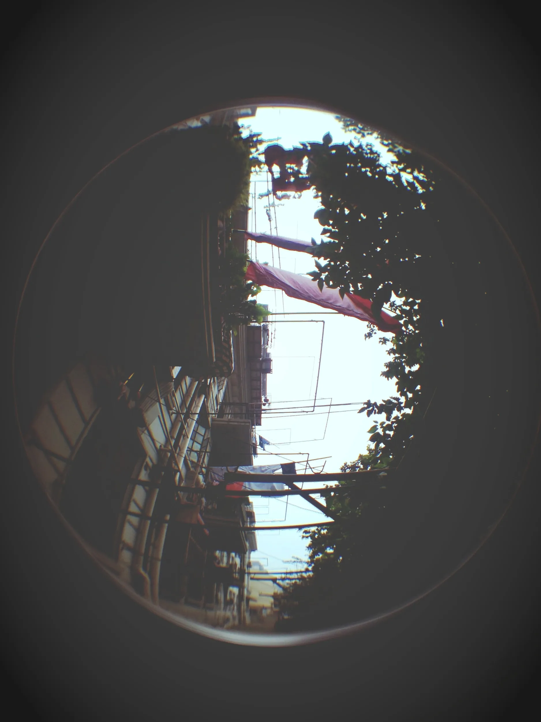 ニコ生代わりに撮影