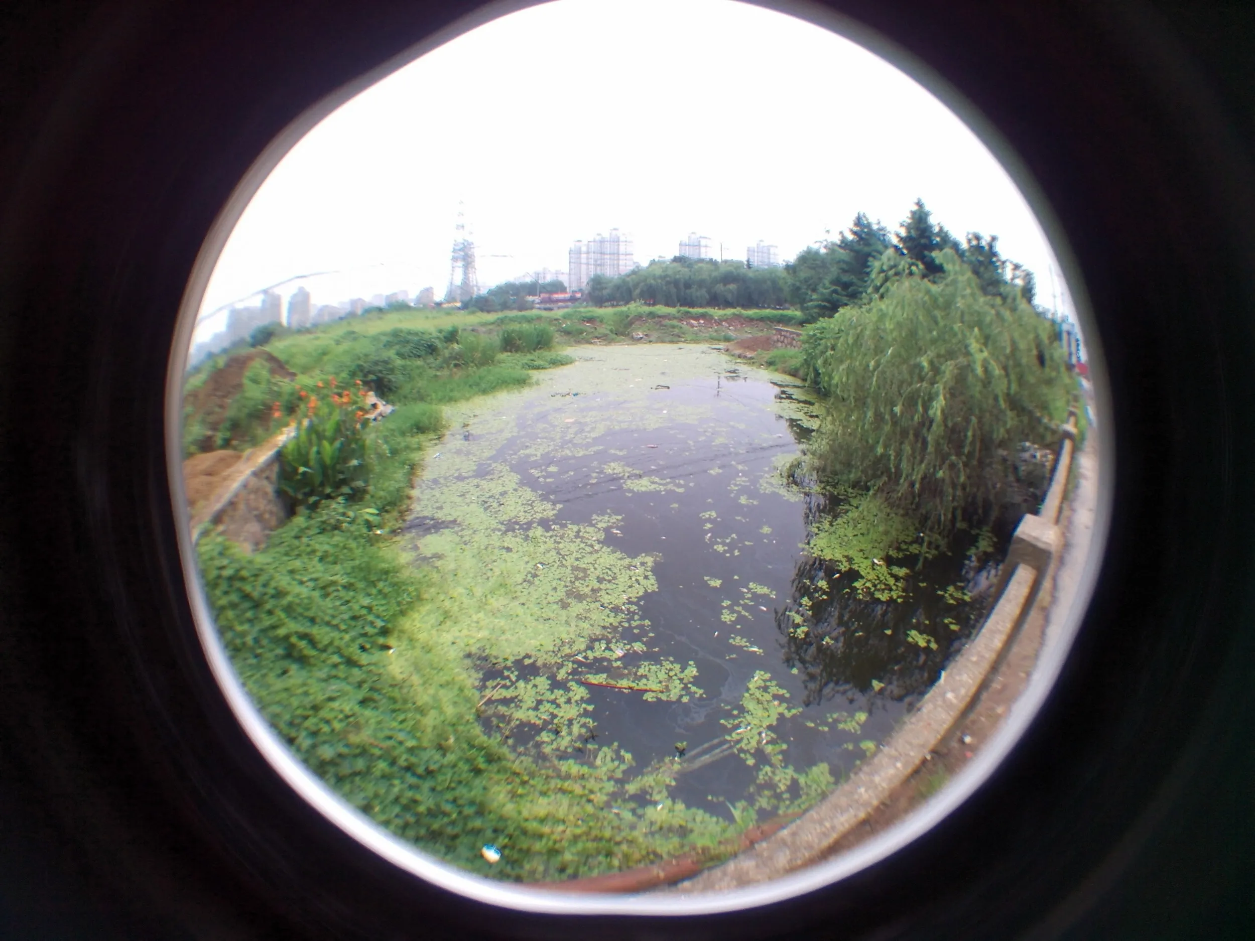 蘇州虎丘湿地公園付近