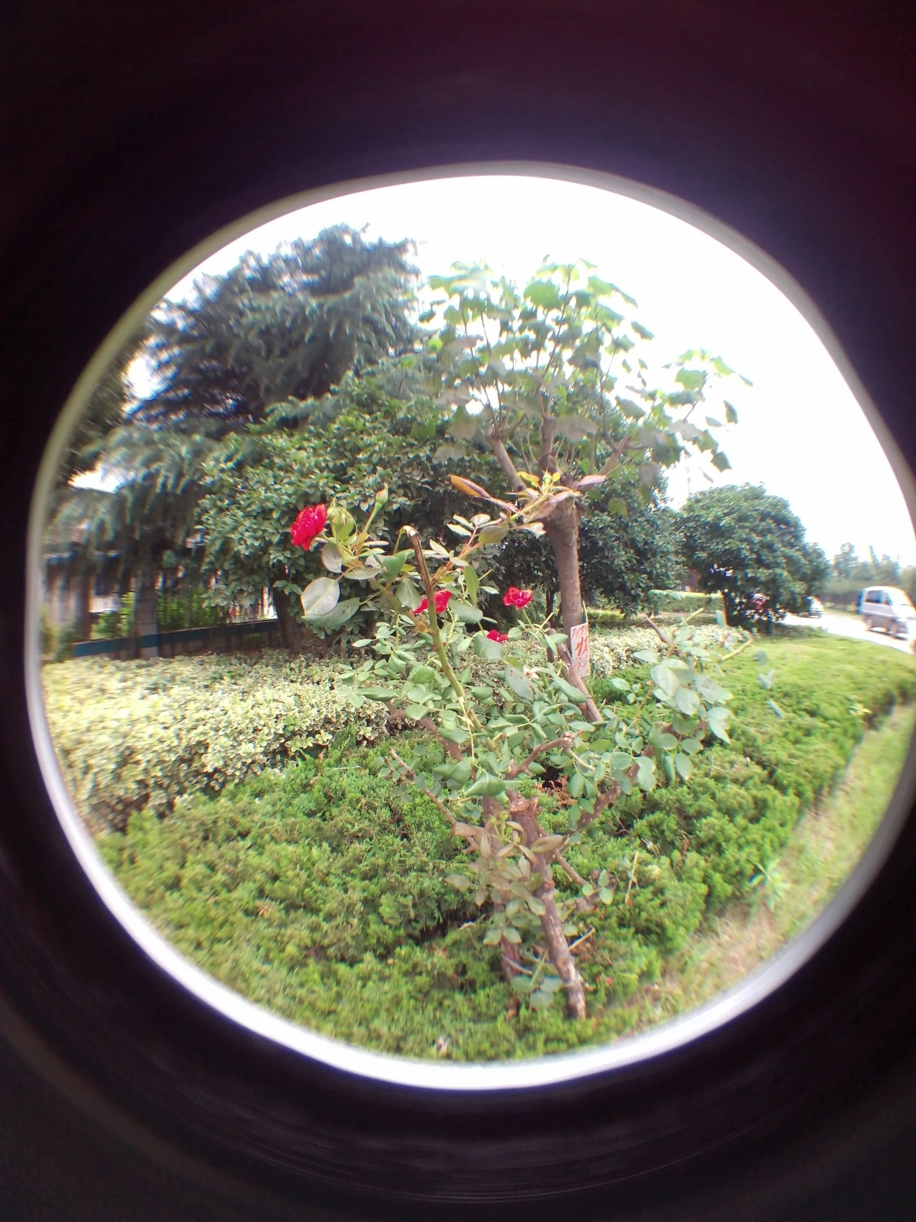 蘇州虎丘湿地公園付近