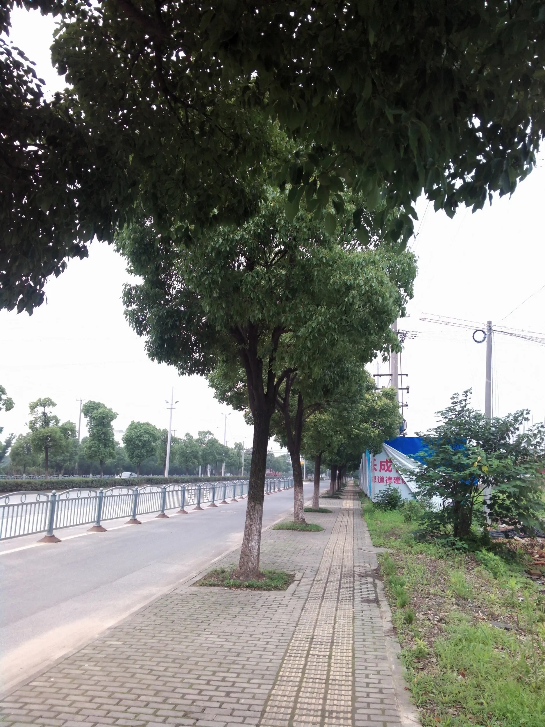 蘇州虎丘湿地公園付近