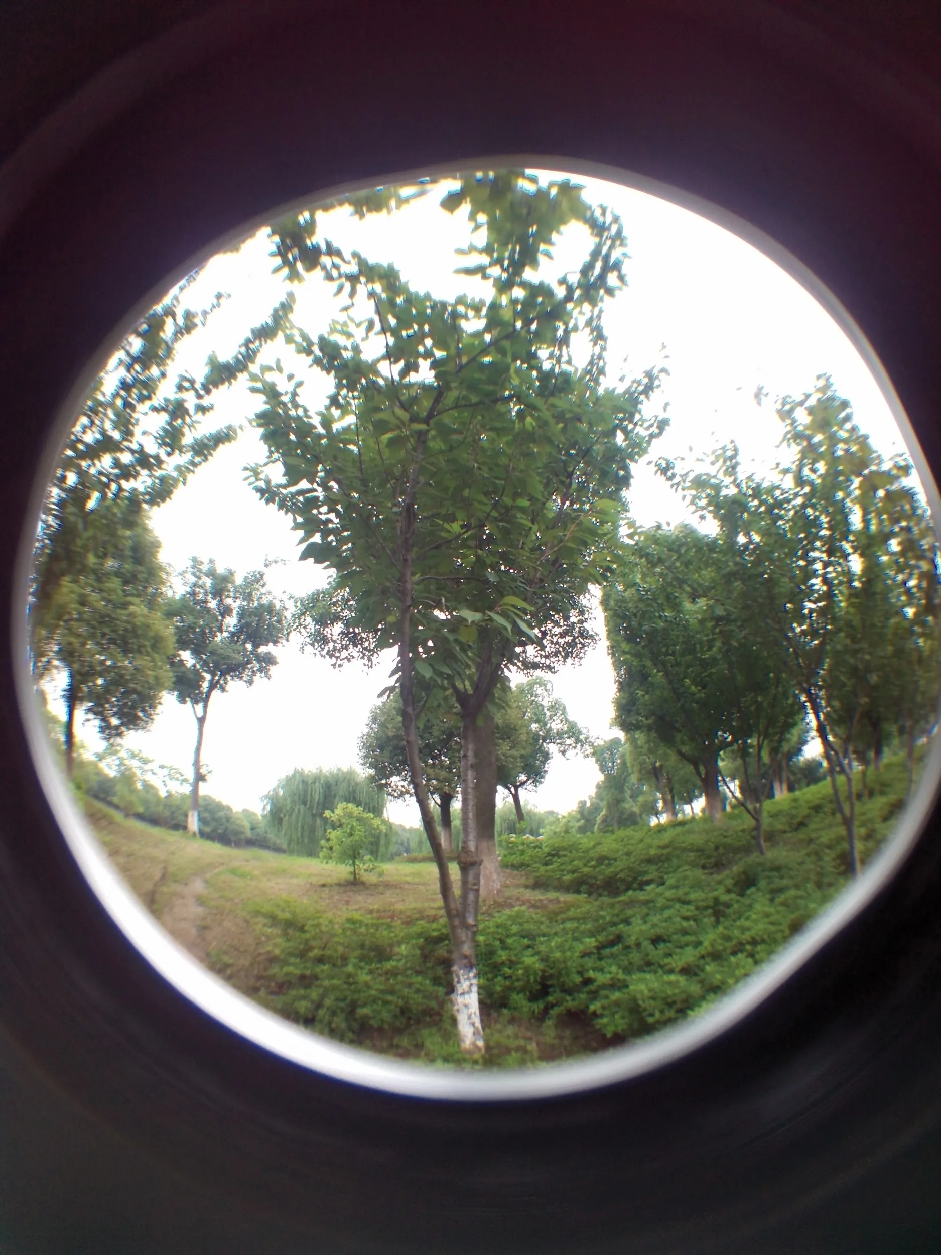 蘇州虎丘湿地公園