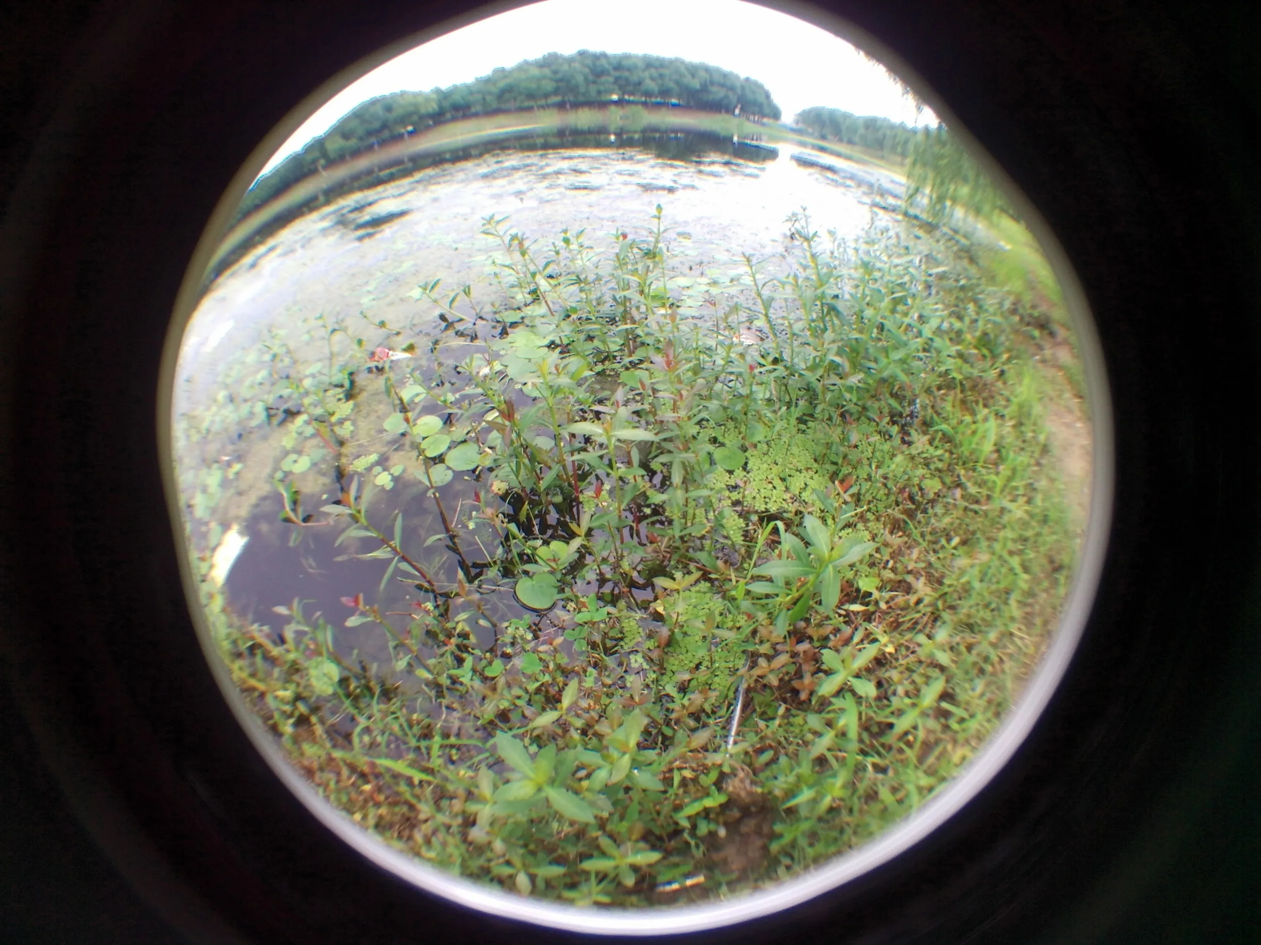 蘇州虎丘湿地公園