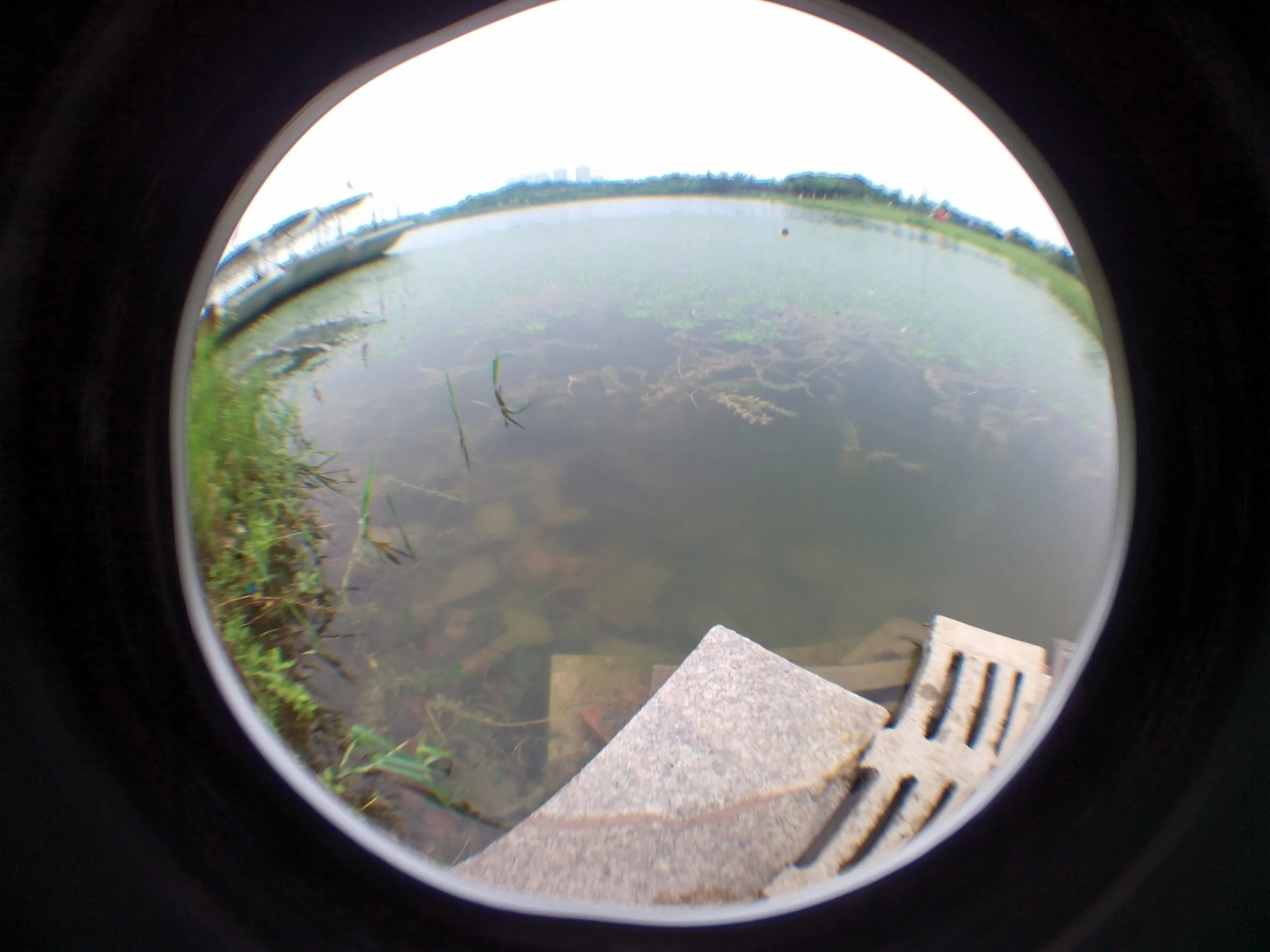 蘇州虎丘湿地公園