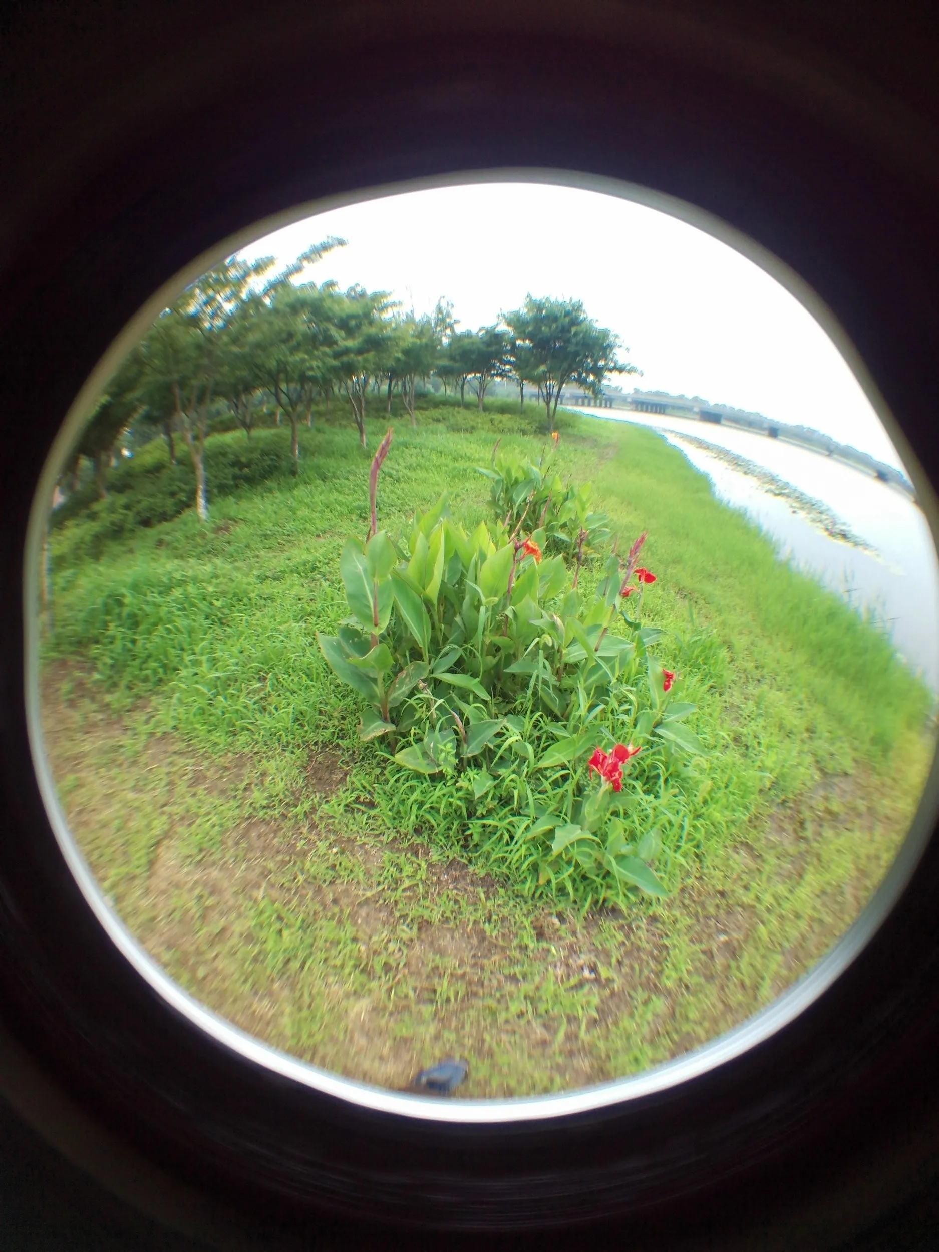 蘇州虎丘湿地公園