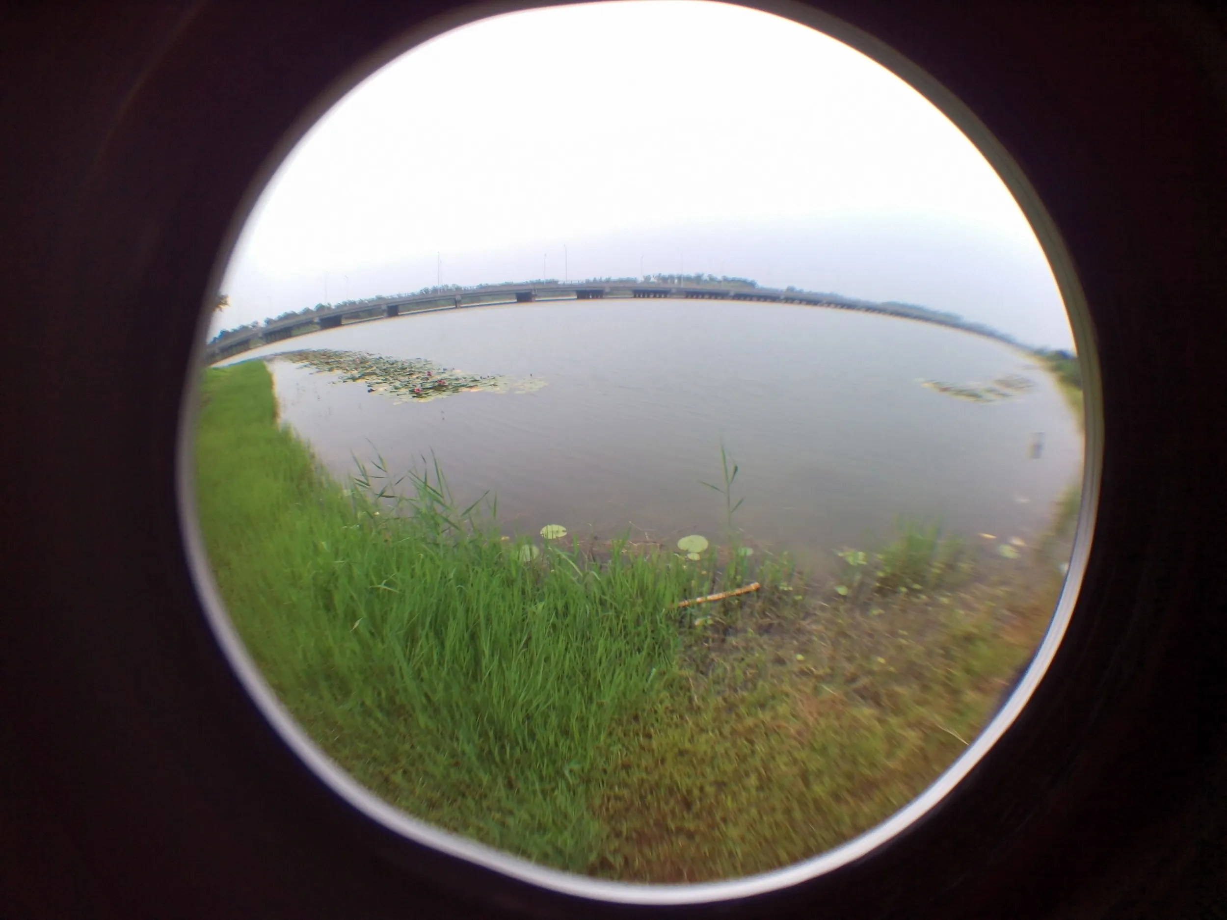 蘇州虎丘湿地公園