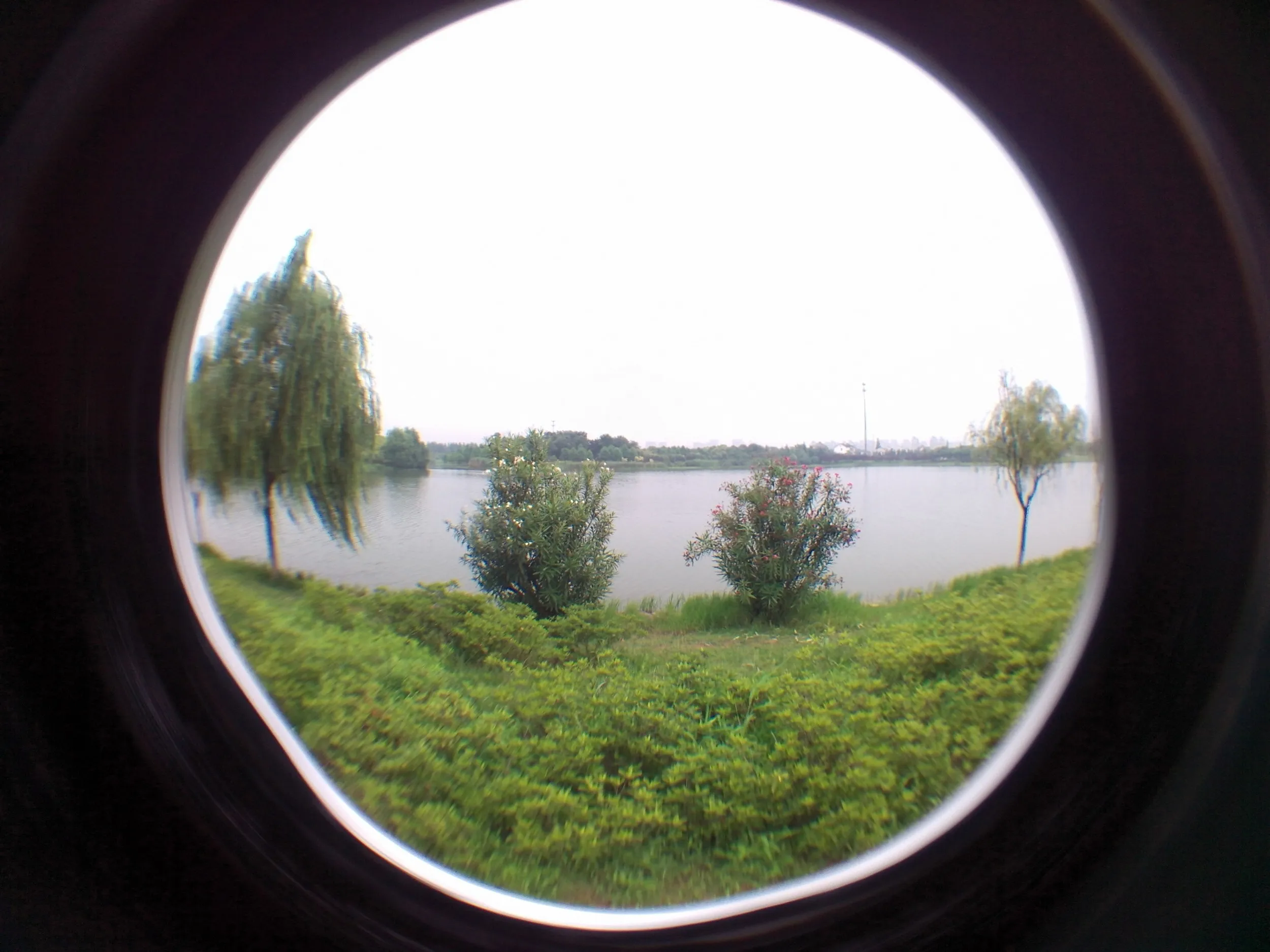 蘇州虎丘湿地公園