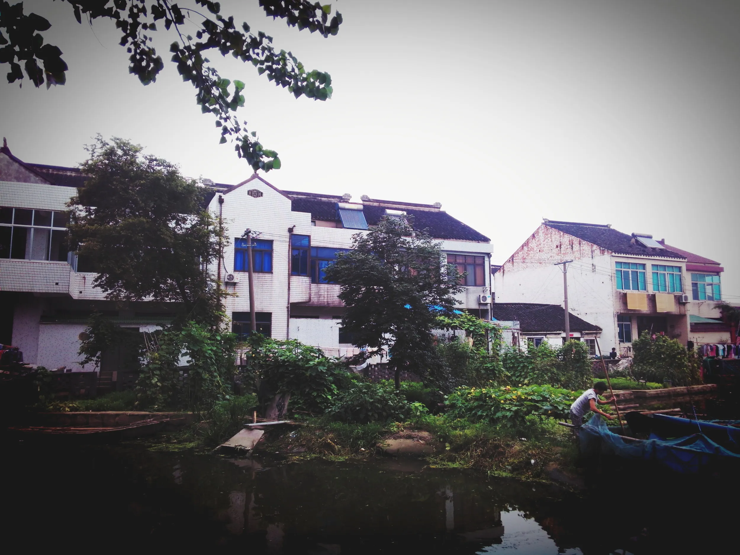 蘇州虎丘湿地公園付近の民家