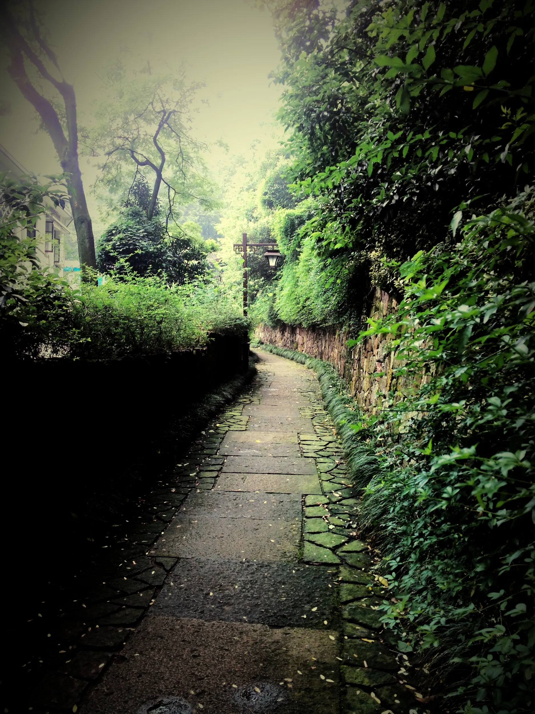 吴山を森林浴しながら散歩