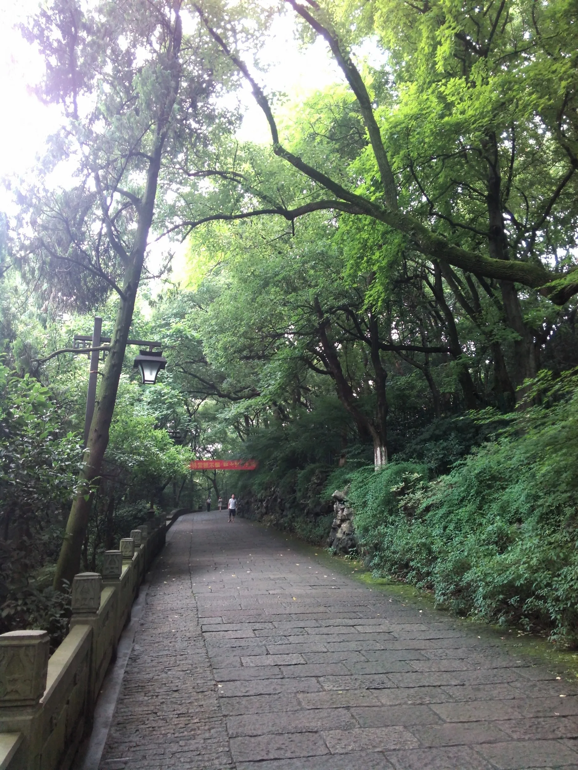 吴山を森林浴しながら散歩