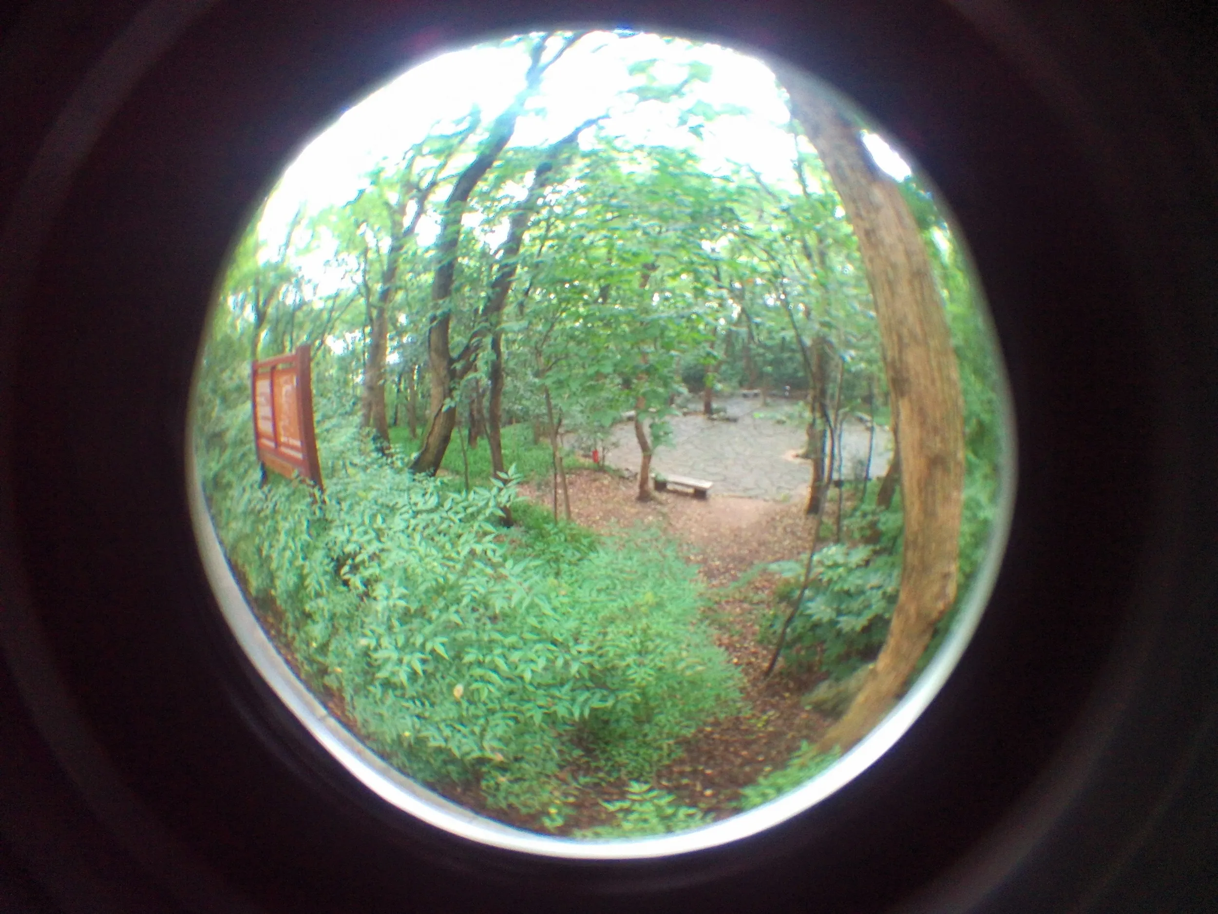 吴山を森林浴しながら散歩