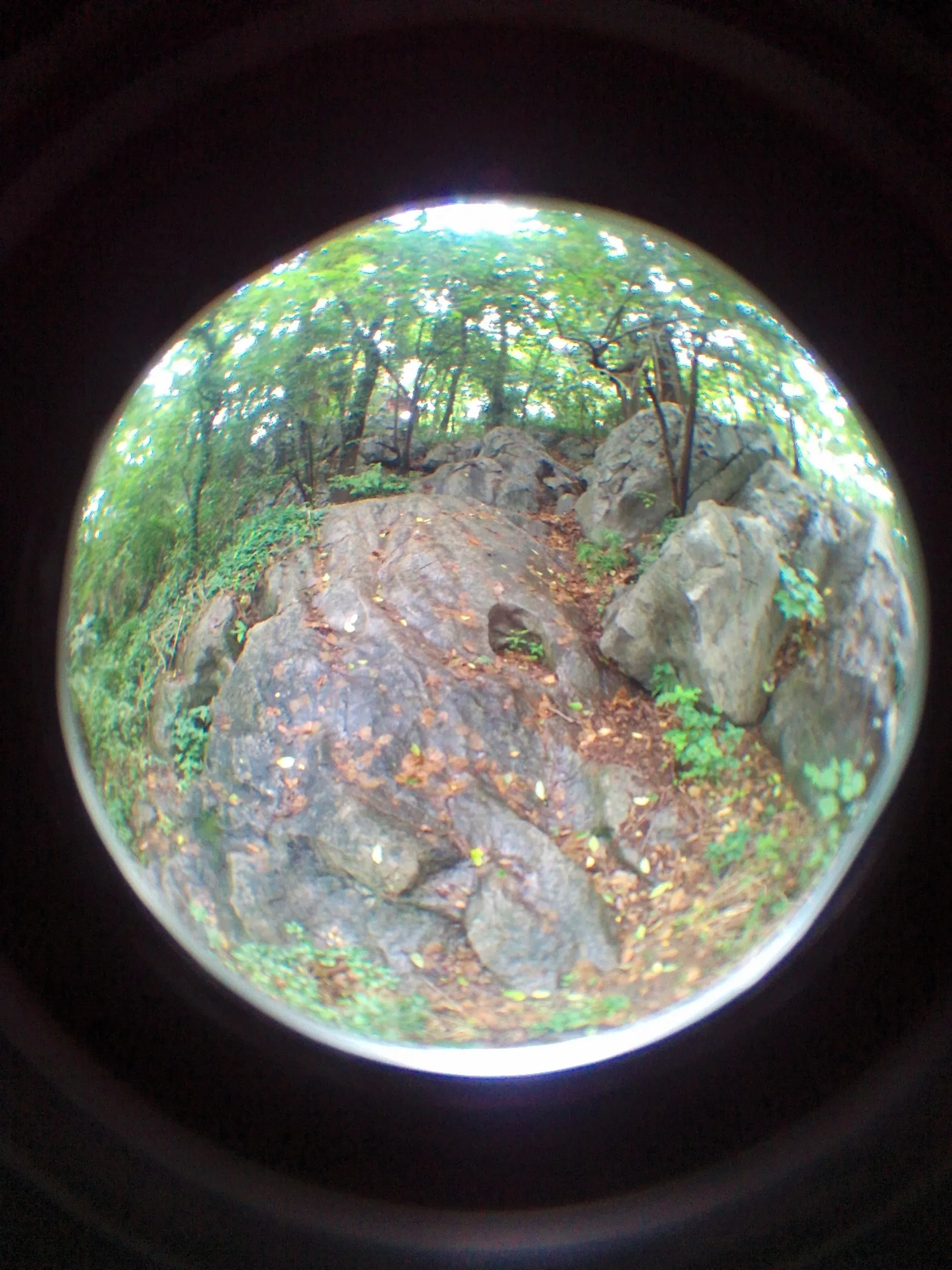 吴山を森林浴しながら散歩