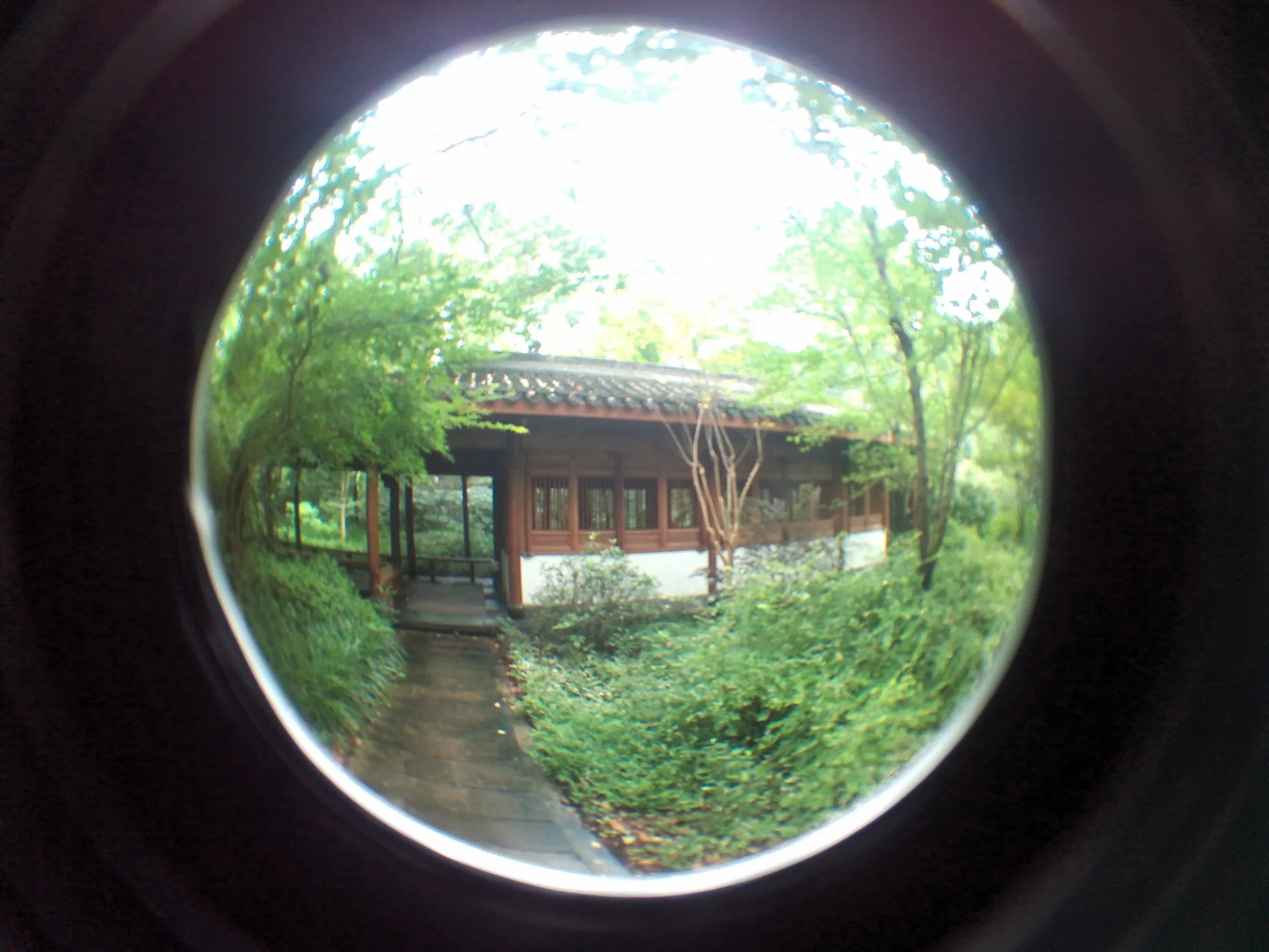 吴山を森林浴しながら散歩