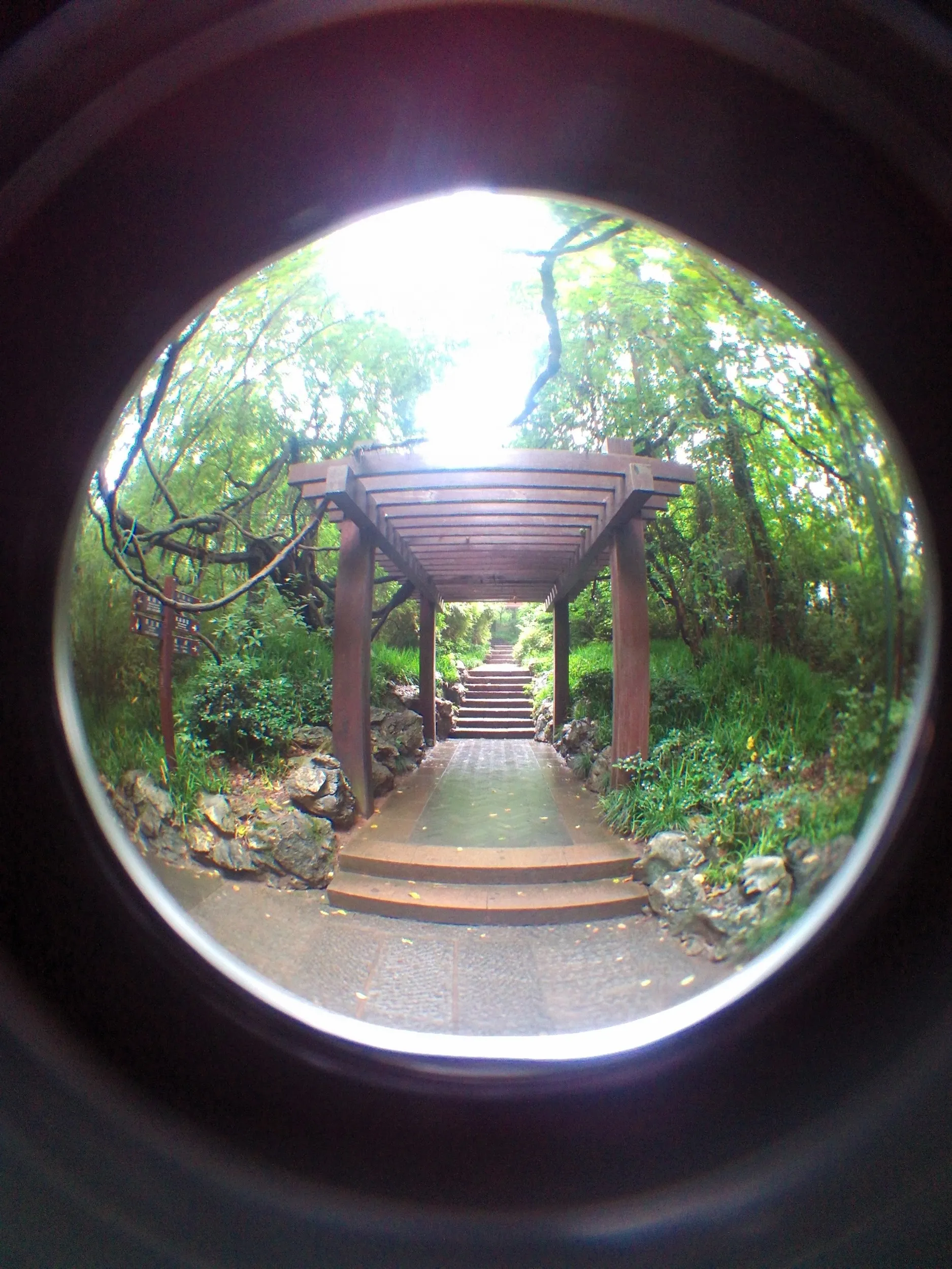 吴山を森林浴しながら散歩