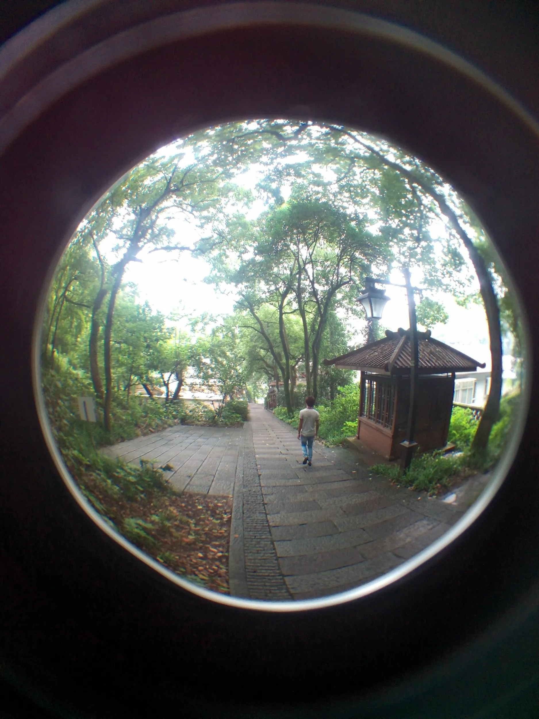 吴山を森林浴しながら散歩