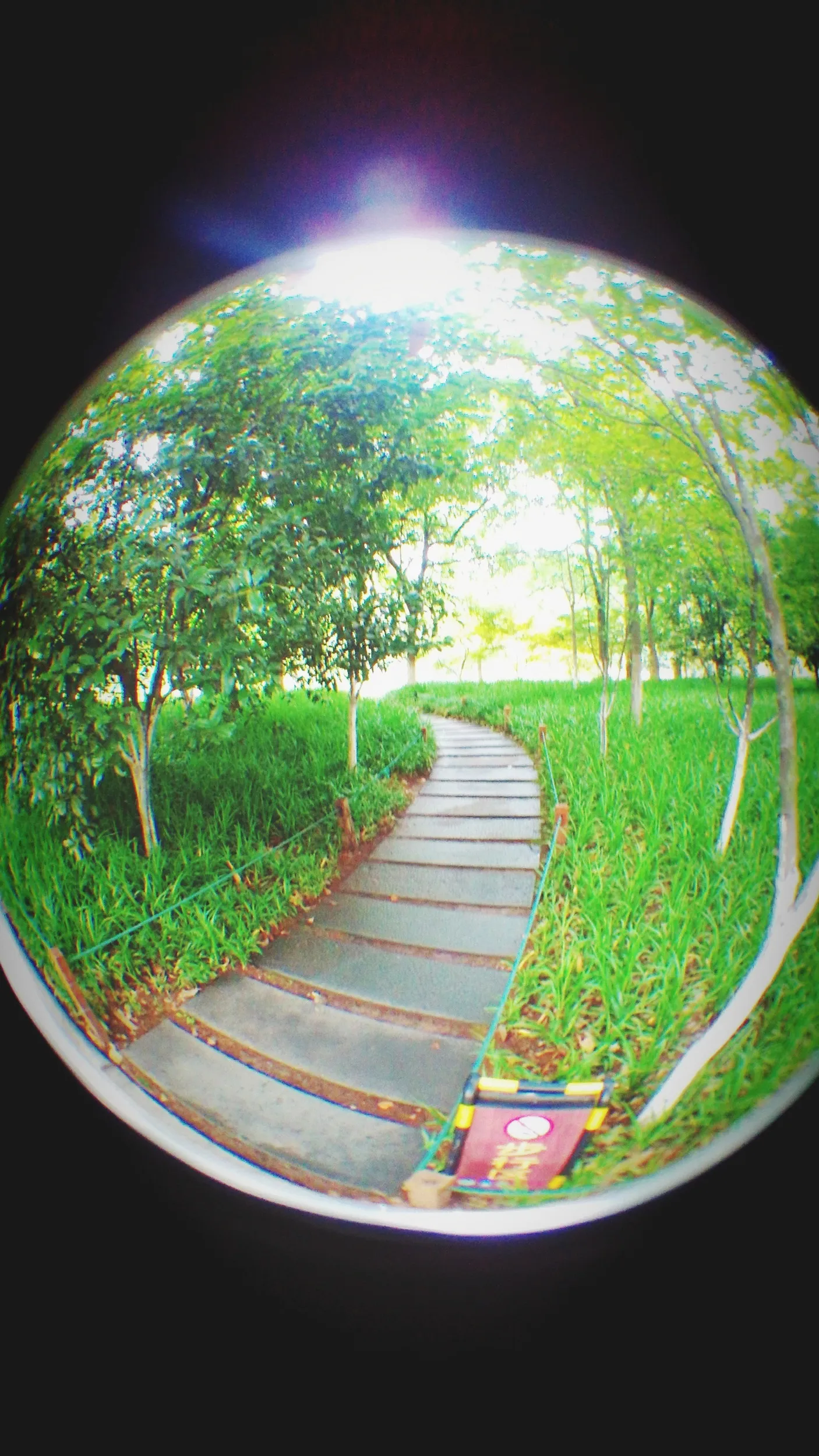 学士橋、学士公園から西湖湖畔を目指す