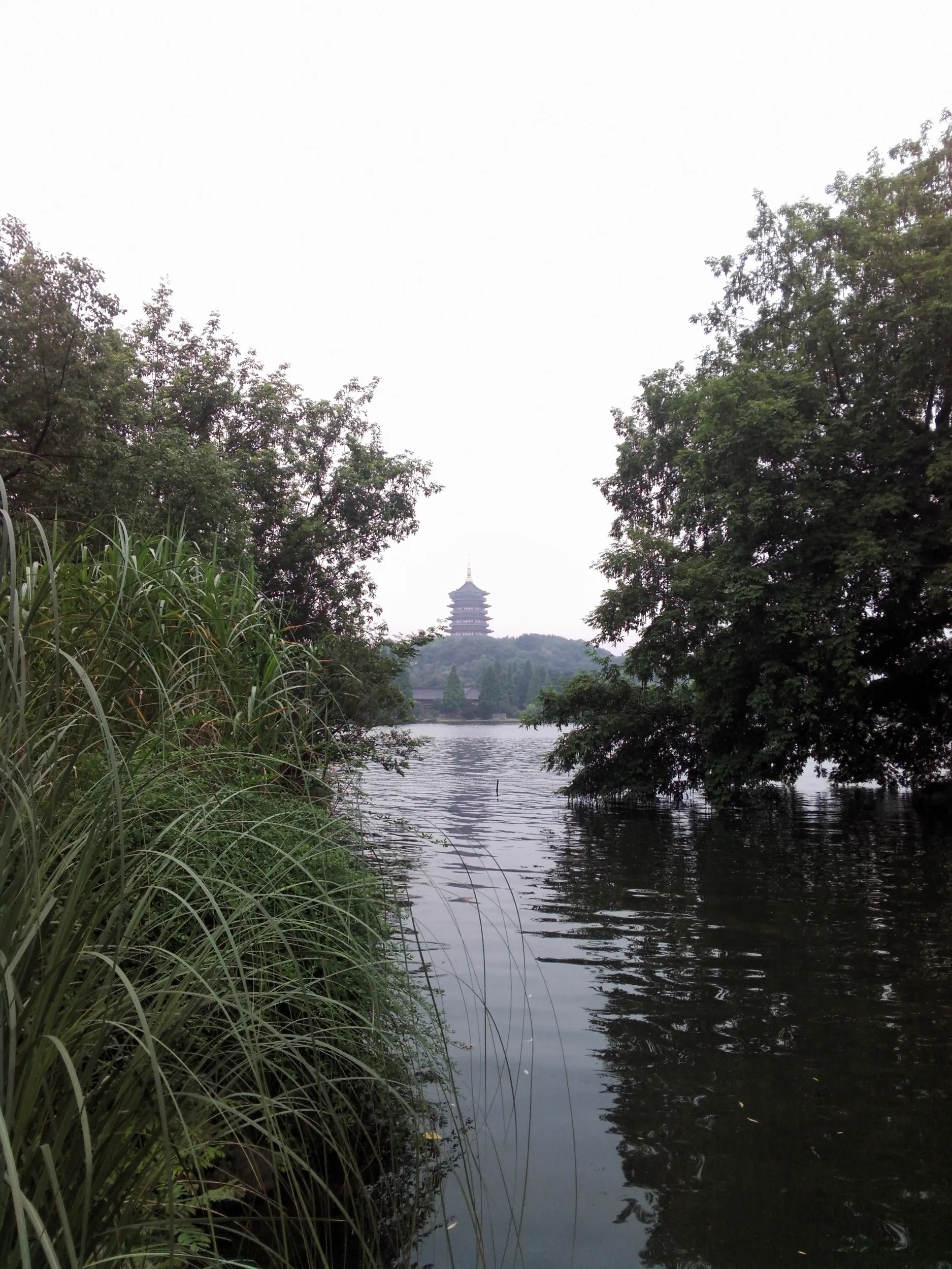西湖湖畔の風景