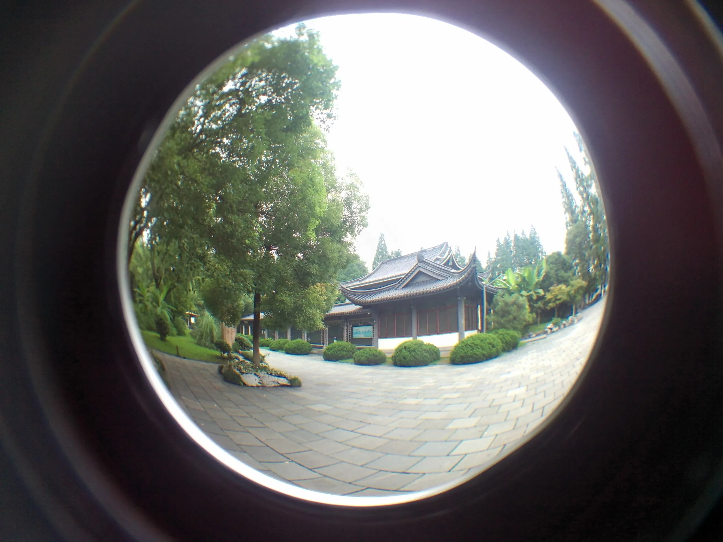 西湖湖畔の風景