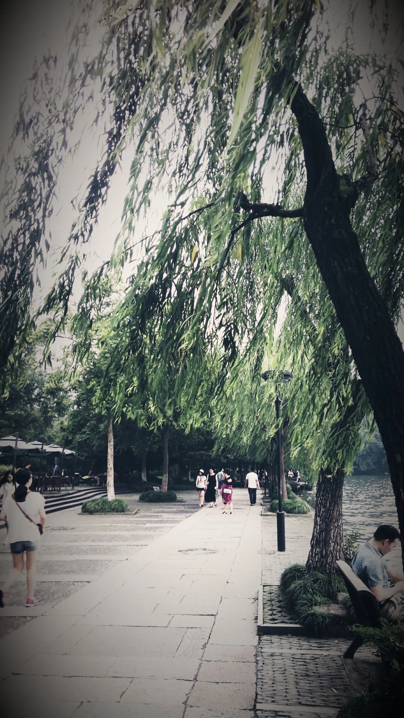 西湖湖畔の風景