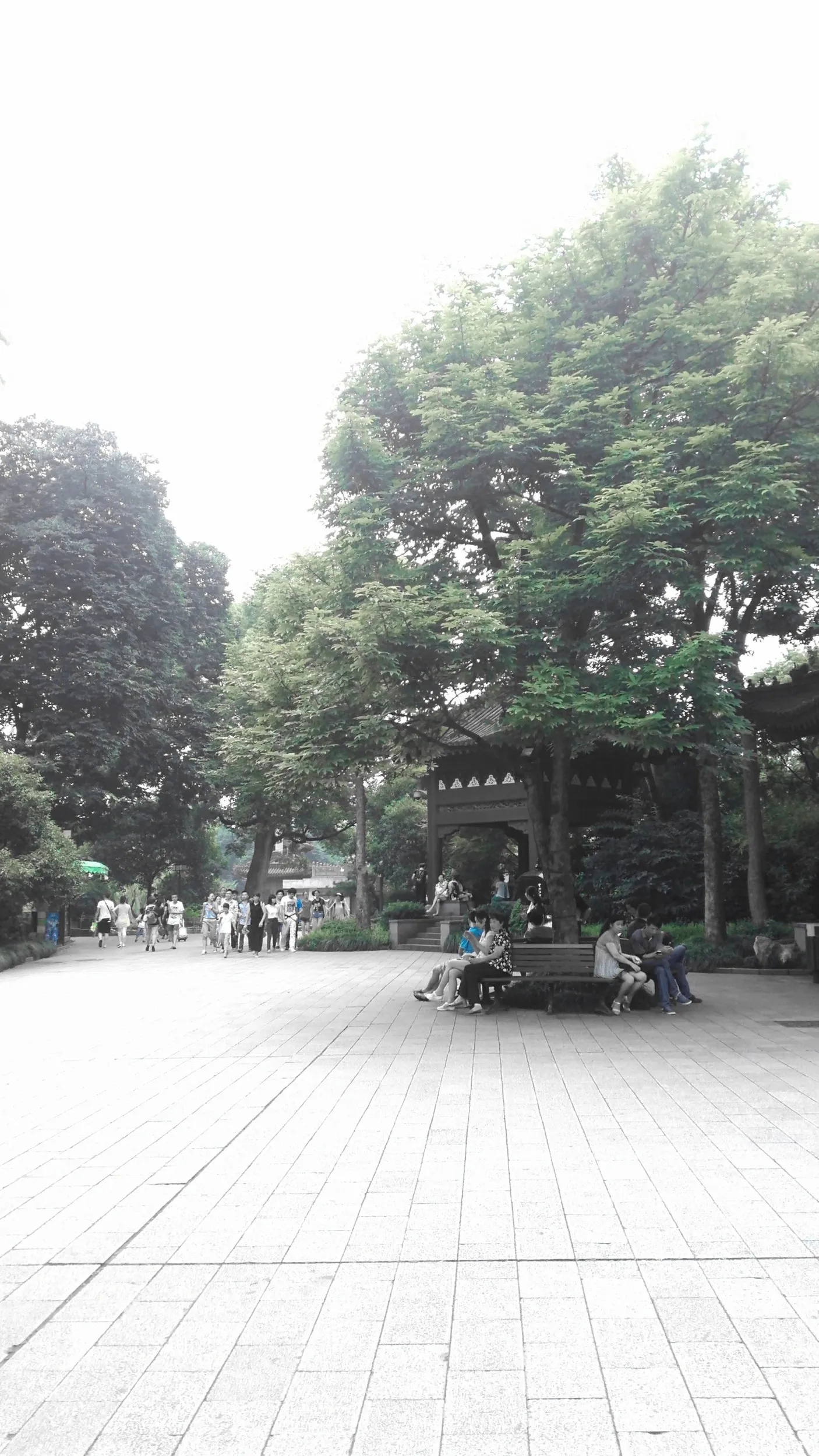 雷峰塔付近の風景