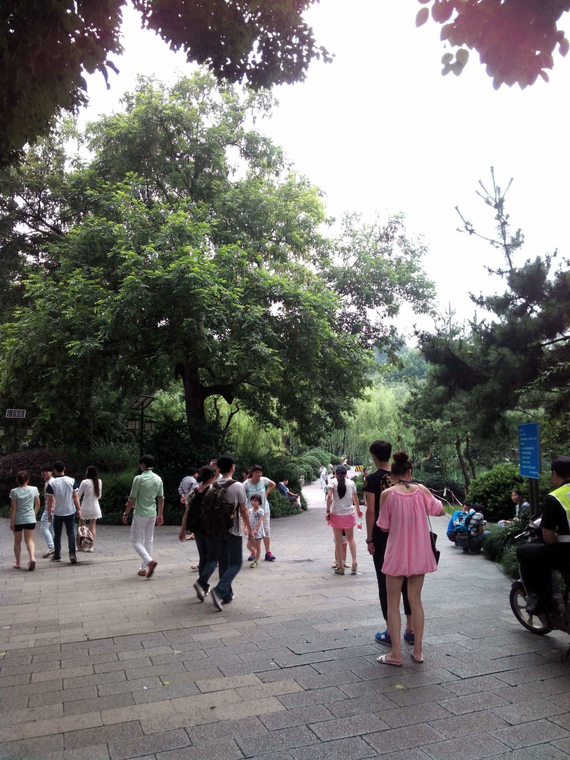 雷峰塔付近の風景