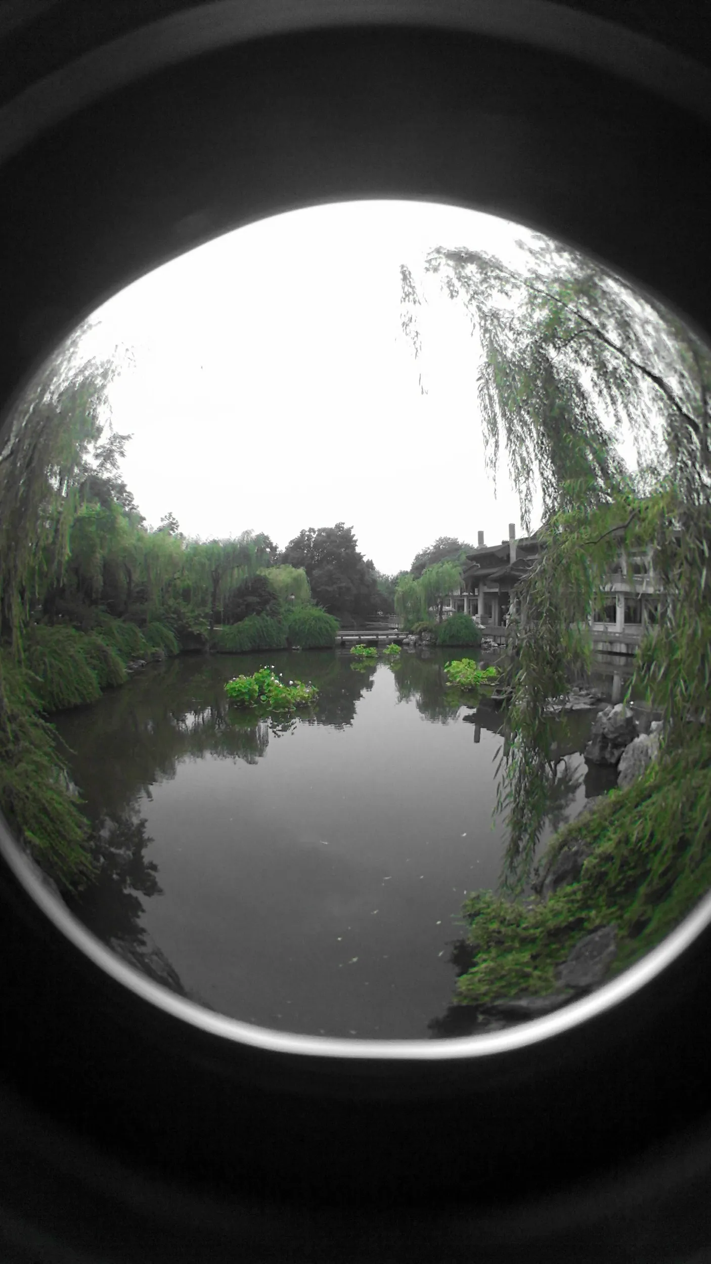 西湖湖畔の風景