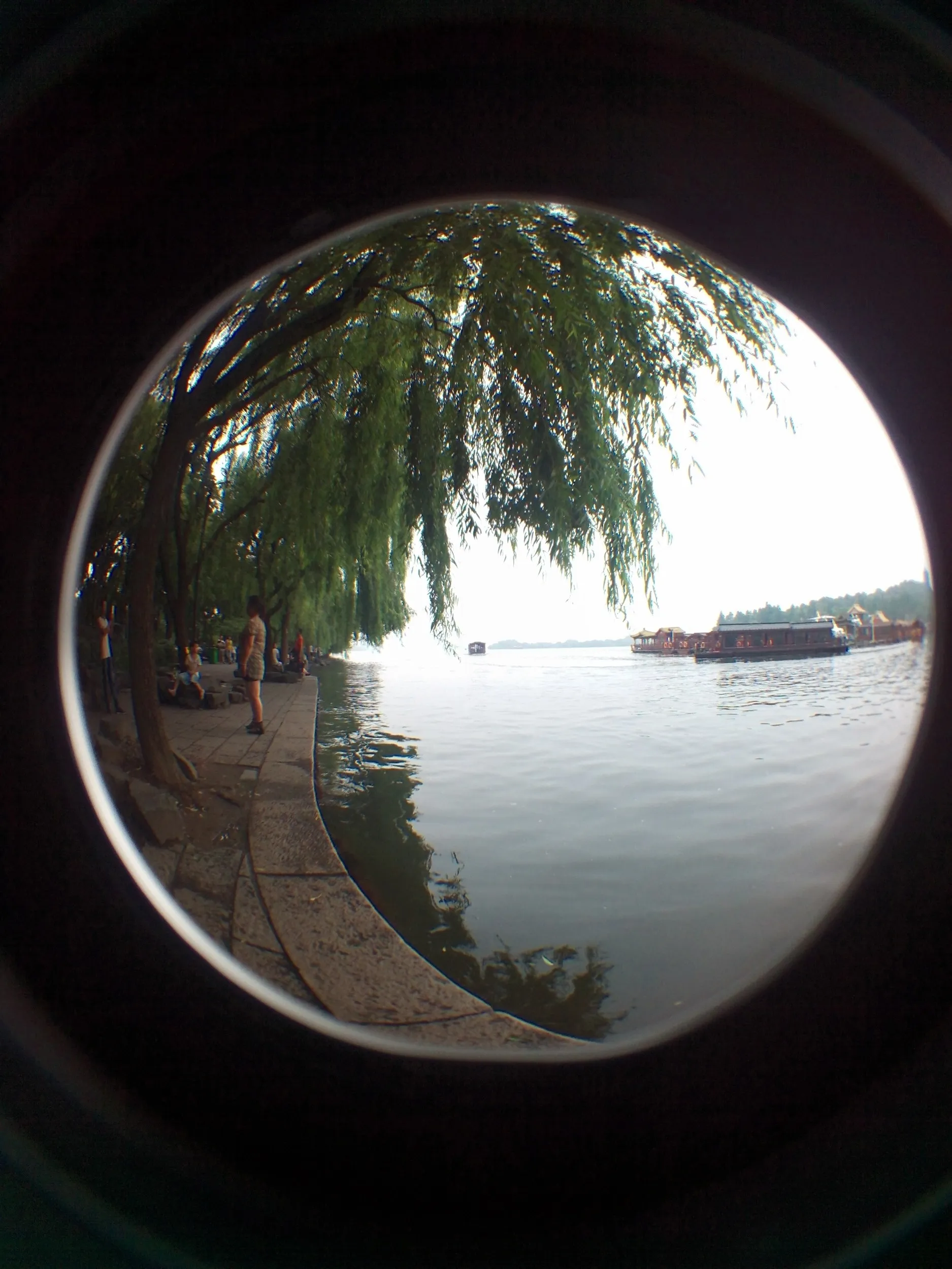 西湖湖畔の風景