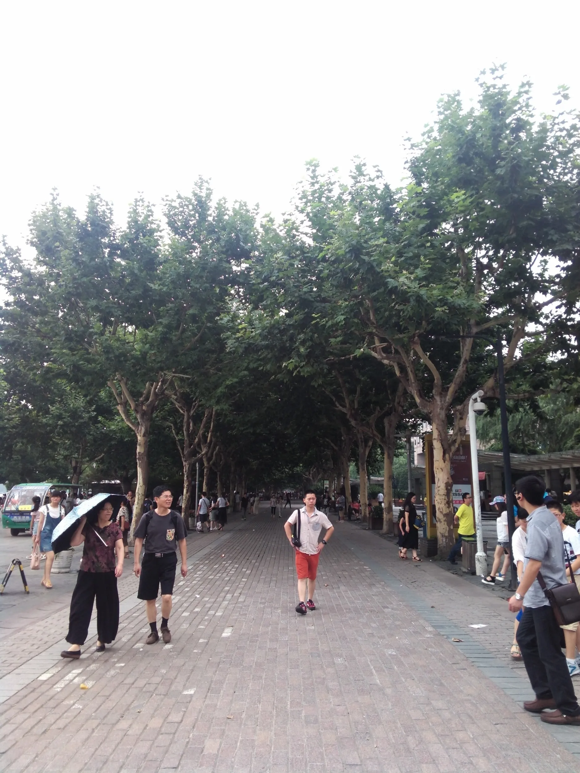 龍翔橋から西湖へ向かう