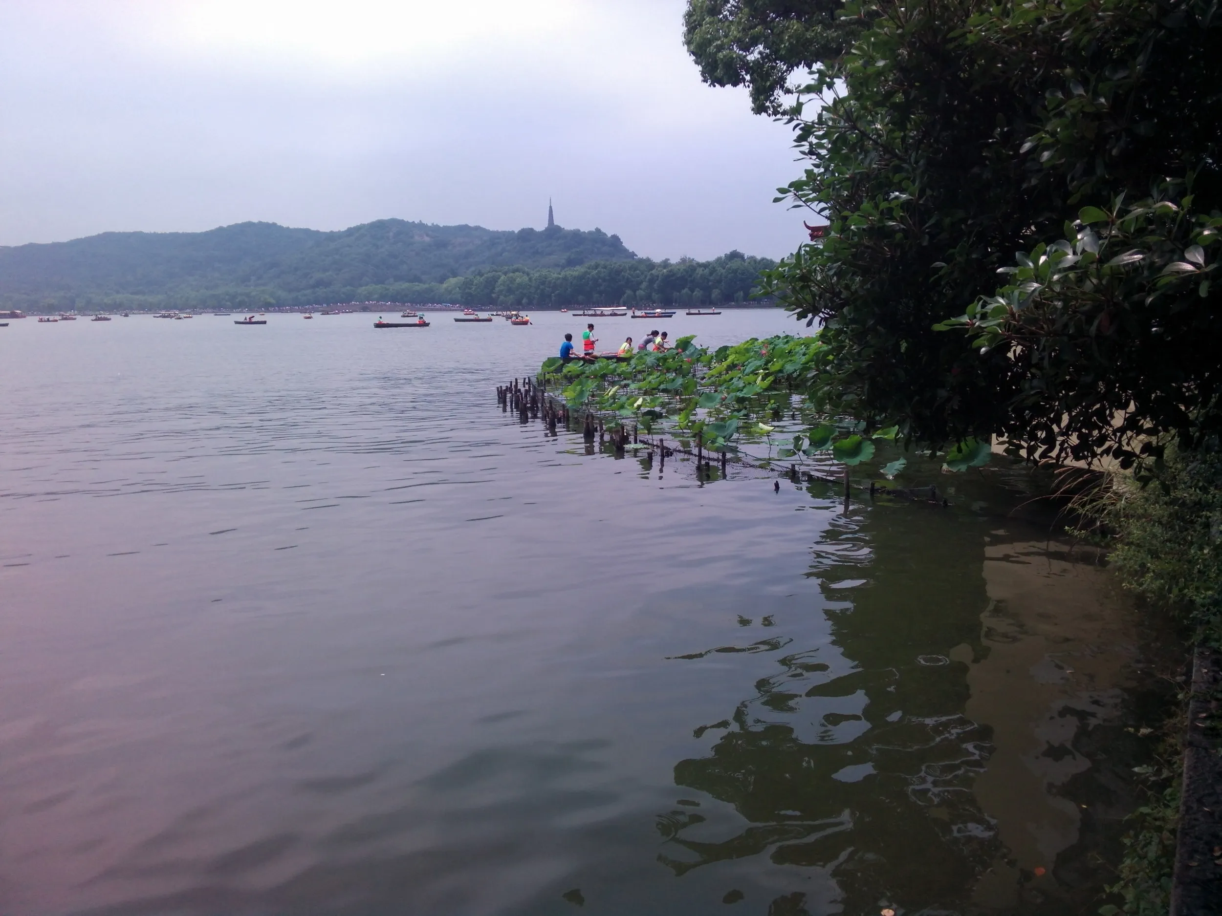西湖湖畔の風景
