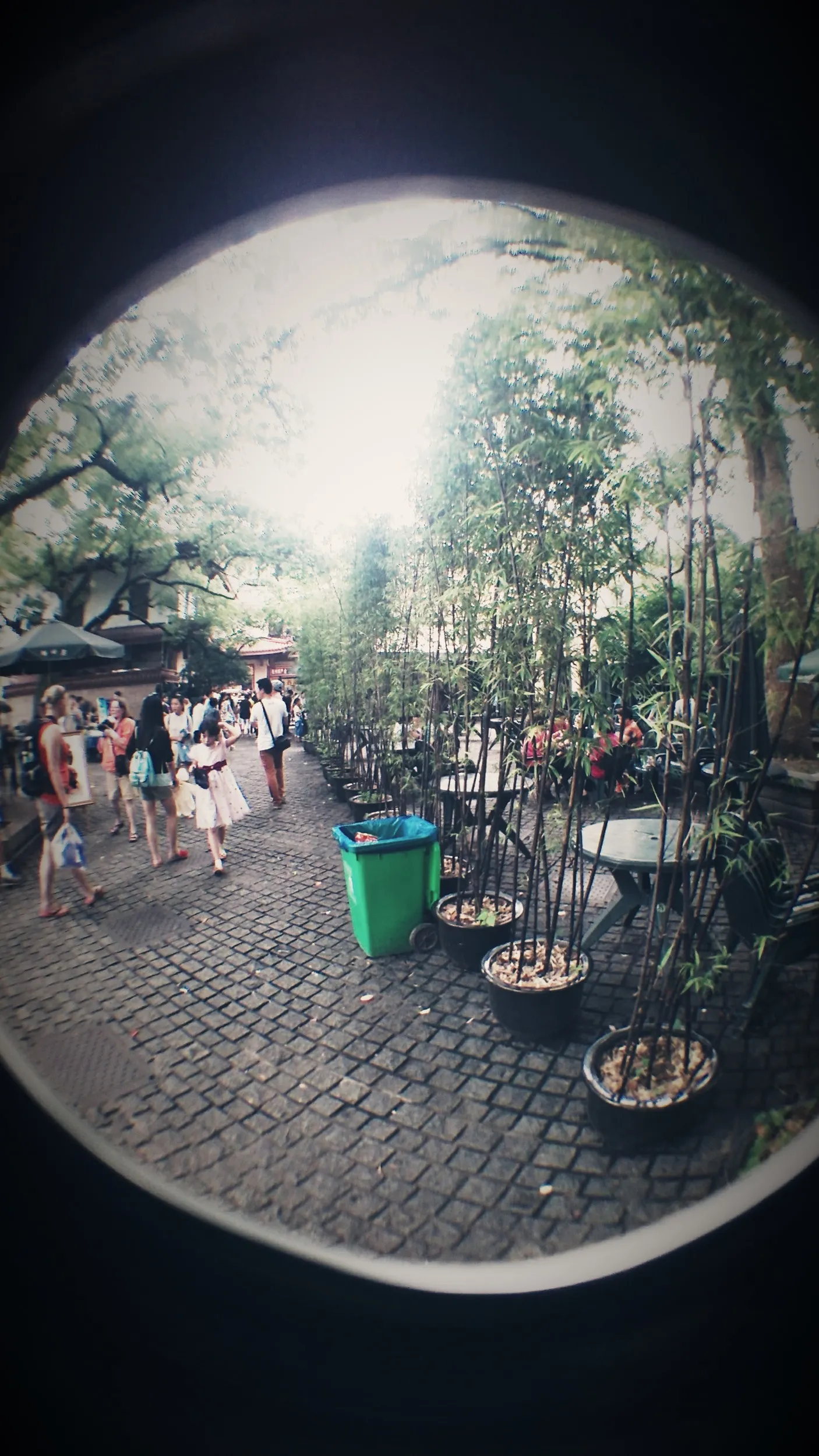 西湖湖畔の風景