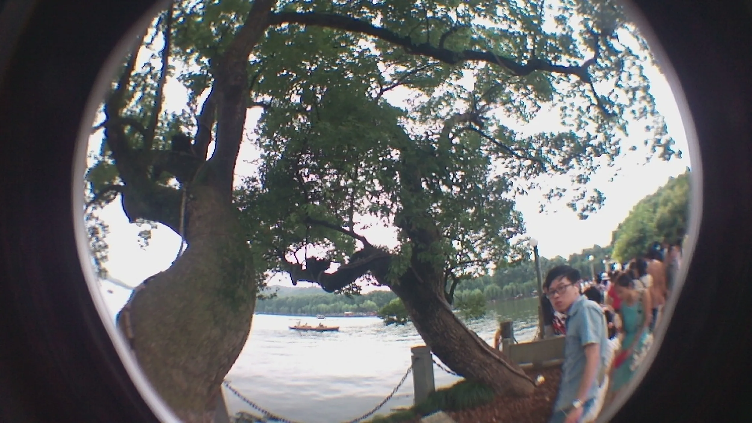 西湖湖畔を散歩