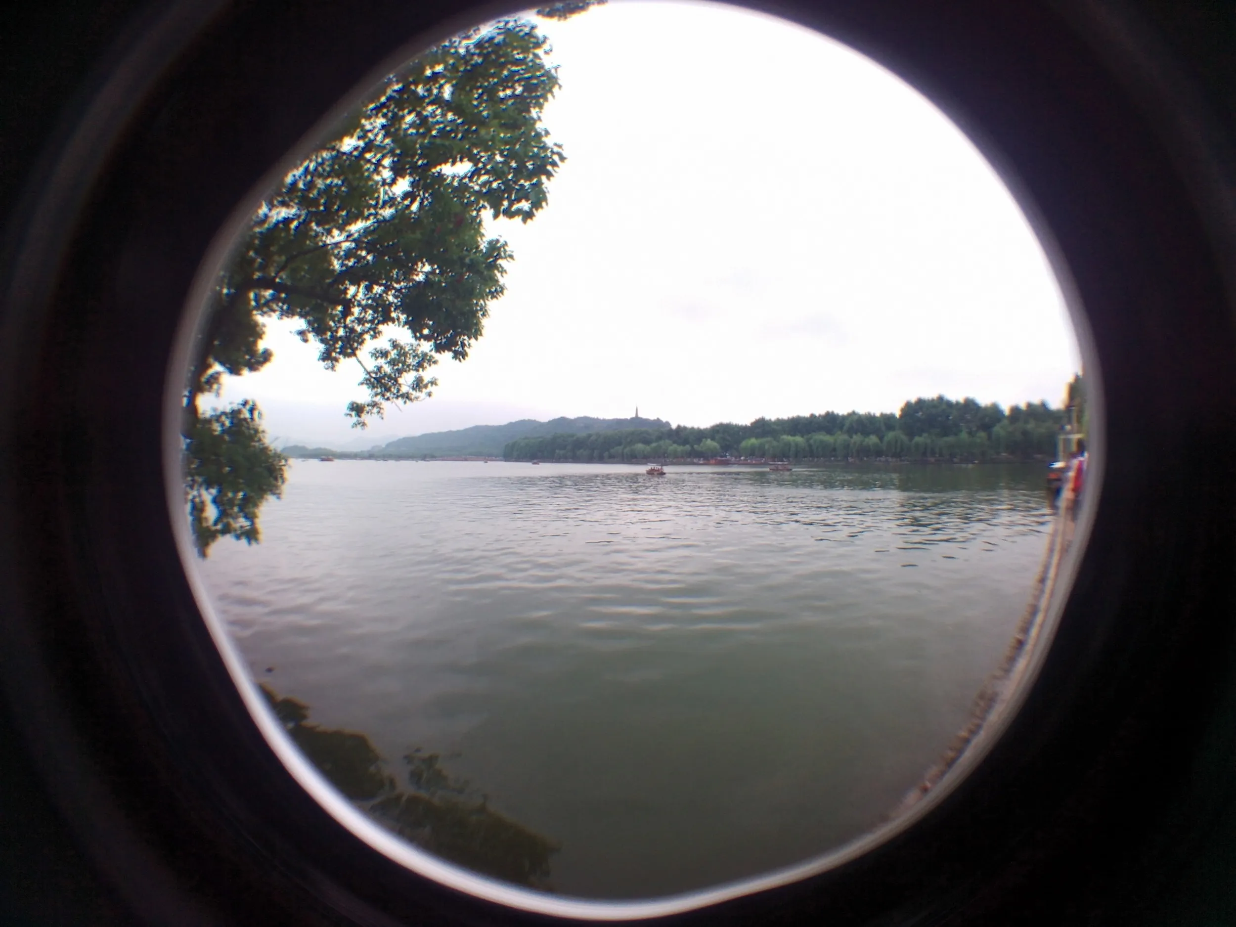 西湖湖畔を散歩