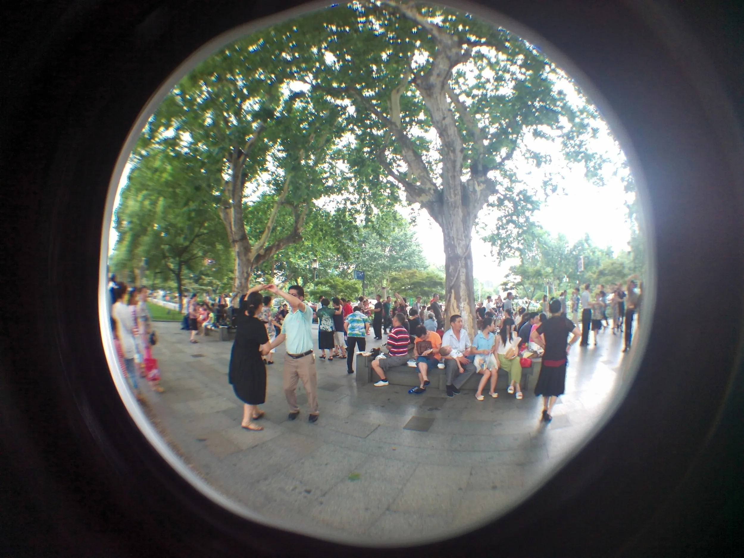 西湖湖畔を散歩